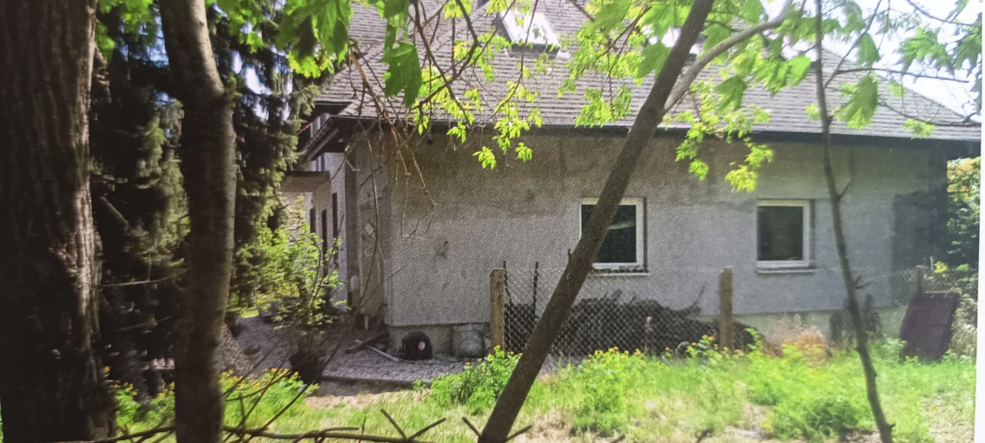 Zdjęcie przedstawiające fragment szarego, tynkowanego budynku z dwoma oknami na parterze i oknem dachowym. Dom jest częściowo zasłonięty przez drzewa i zielone liście w przednim planie. Przed budynkiem znajduje się trawnik oraz ogrodzenie z siatki.