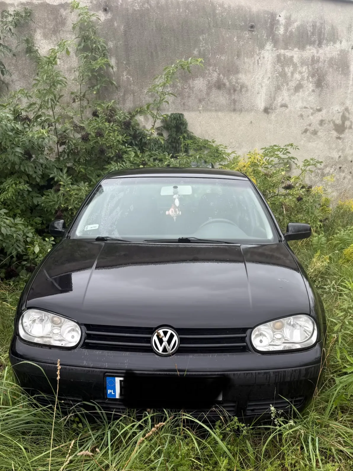 Czarny samochód marki Volkswagen Golf zaparkowany w wysokiej trawie na tle szarej, betonowej ściany. Widoczny jest przód pojazdu z logo Volkswagena na grillu oraz fragment tablicy rejestracyjnej z oznaczeniem PL.