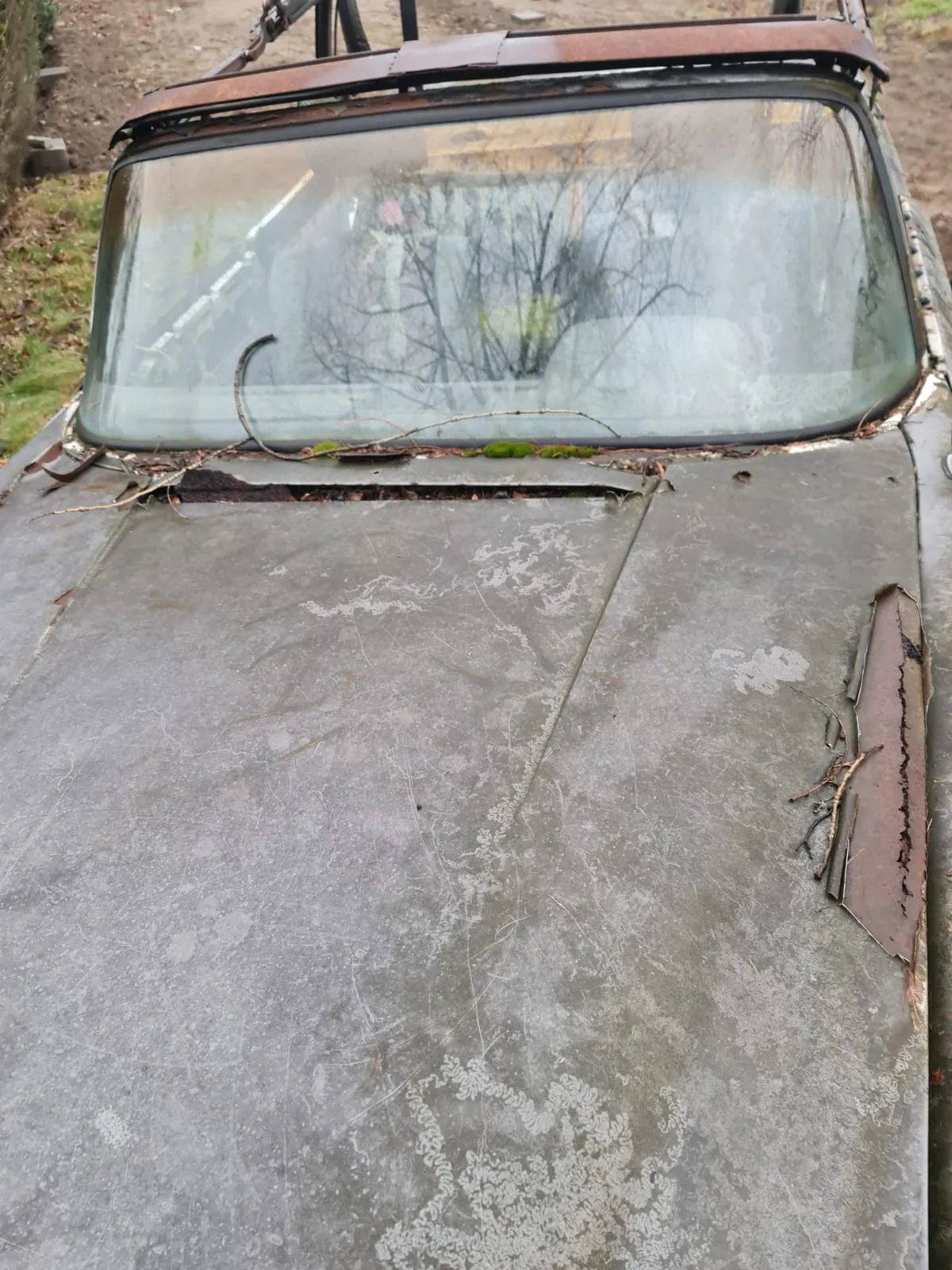 Mercedes Benz None 1965 - zdjęcie 1