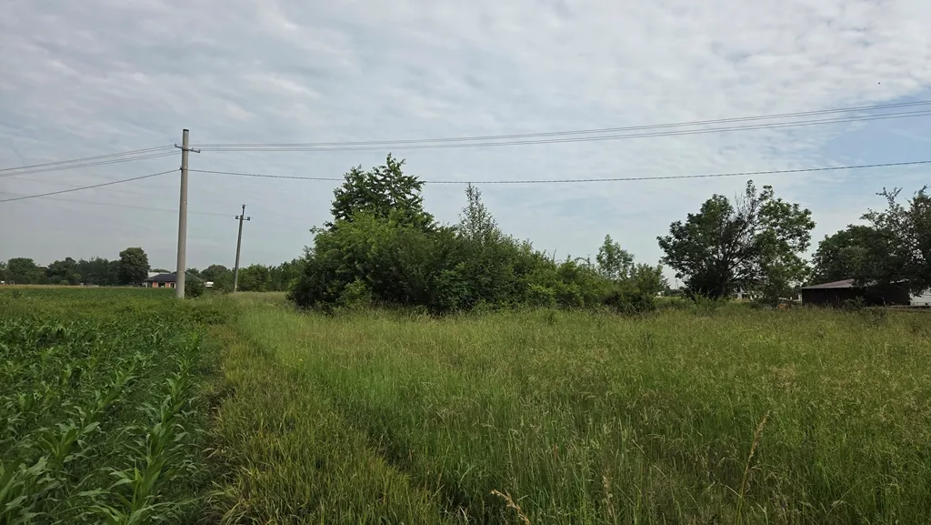 Krajobraz wiejski z rozległą, zieloną łąką i polem uprawnym na pierwszym planie. W oddali widoczne są kępy drzew, krzewy oraz kilka niskich budynków mieszkalnych. Przez górną część obrazu przebiegają linie napowietrzne wsparte na betonowych słupach energetycznych. Niebo jest jasne, pokryte cienką warstwą białych chmur.