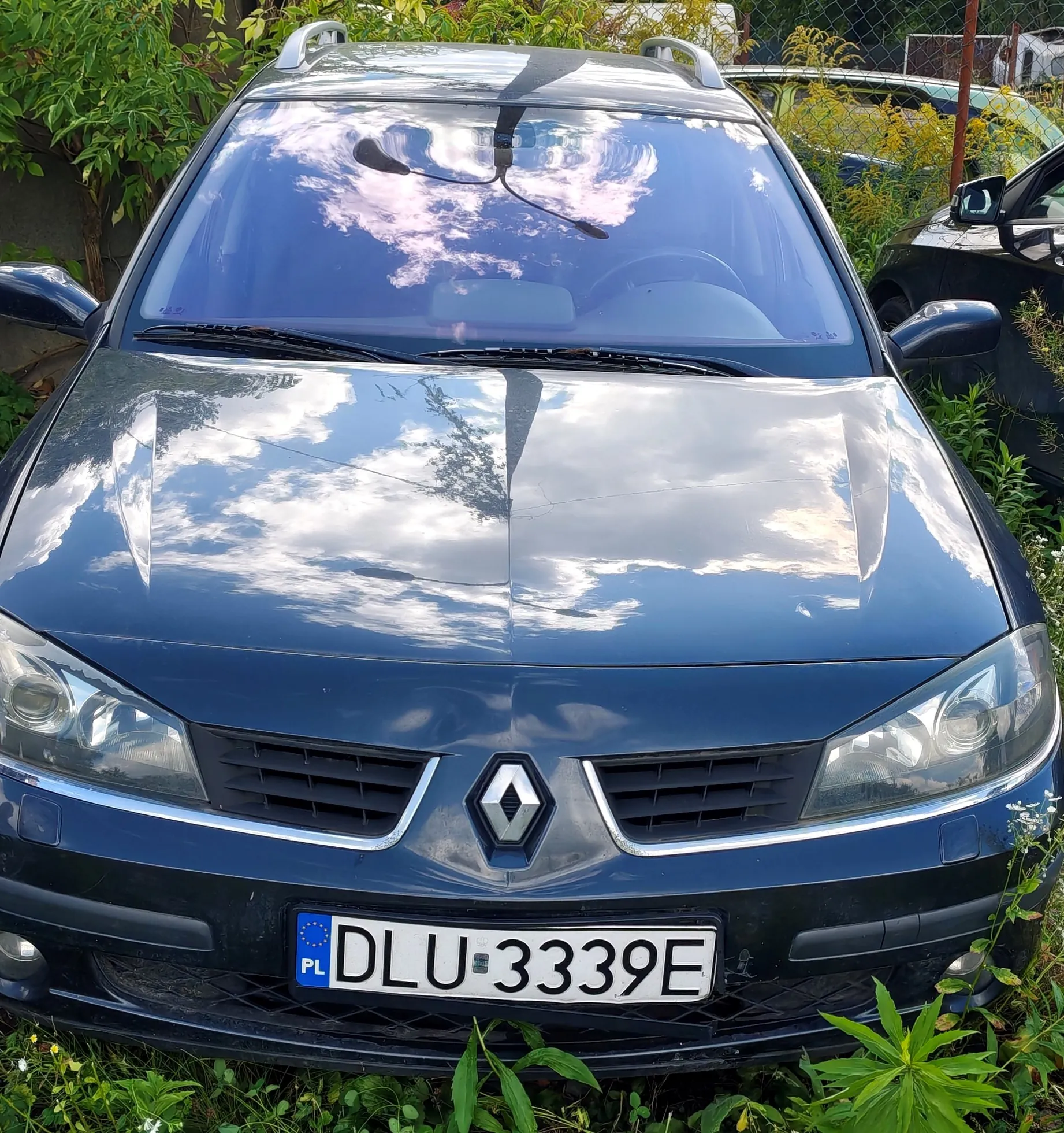 Widok z przodu na ciemnoniebieski samochód marki Renault zaparkowany wśród zieleni. Na masce i przedniej szybie odbija się niebo z białymi chmurami. Samochód posiada polską tablicę rejestracyjną o numerze DLU 3339E.