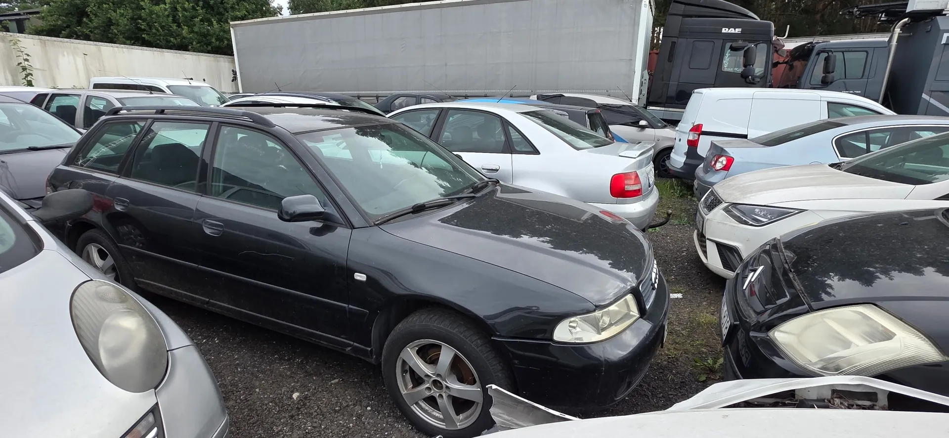 Parking z wieloma zaparkowanymi samochodami osobowymi w różnych kolorach, głównie srebrnymi i czarnymi. Na pierwszym planie dominuje czarny samochód typu kombi. W tle widoczna jest duża, biała naczepa ciężarówki oraz kabina ciężarówki marki DAF.
