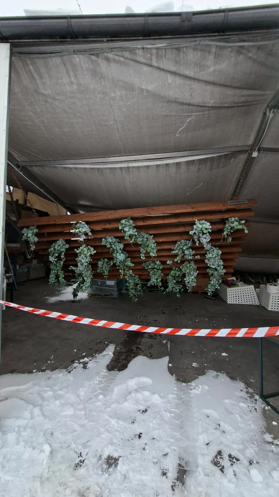 Struktura z drewnianych palet pod namiotem z szarym daszkiem. Na paletach wiszą rośliny ułożone w napis 'MERRY CHRISTMAS'. W pierwszym planie czerwono-biała taśma ostrzegawcza. Na ziemi śnieg i ślady stóp. W tle widoczne pudełka i białe kosze.