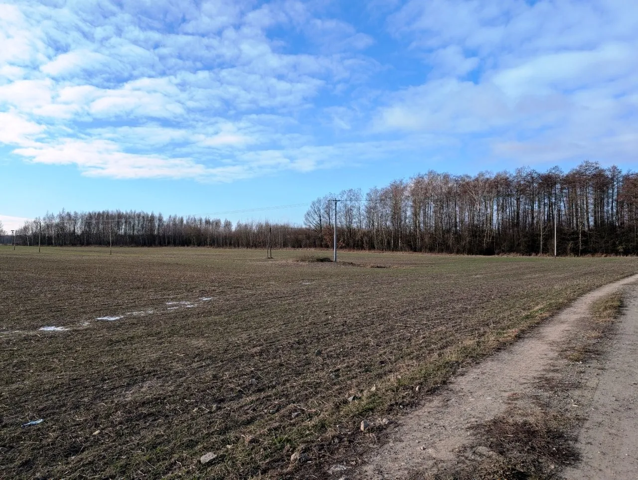 Szeroki kadr przedstawiający otwartą, zaoraną ziemię w kolorze ciemnobrązowym. Po prawej stronie biegnie piaszczysta, jasna droga polna. W tle znajduje się pas bezlistnych drzew i krzewów, a nad nimi jasnoniebieskie niebo z rozproszonymi, białymi chmurami. W oddali widoczny jest pojedynczy słup elektryczny.