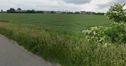Krajobraz wiejski przedstawiający rozległe, zielone pole uprawne pod zachmurzonym niebem. Na pierwszym planie widoczny jest fragment asfaltowej drogi oraz pas dzikiej trawy i krzewów z białymi kwiatami po prawej stronie. W oddali, na horyzoncie, znajduje się kompleks niskich, przemysłowych lub gospodarczych budynków oraz kilka domów mieszkalnych.