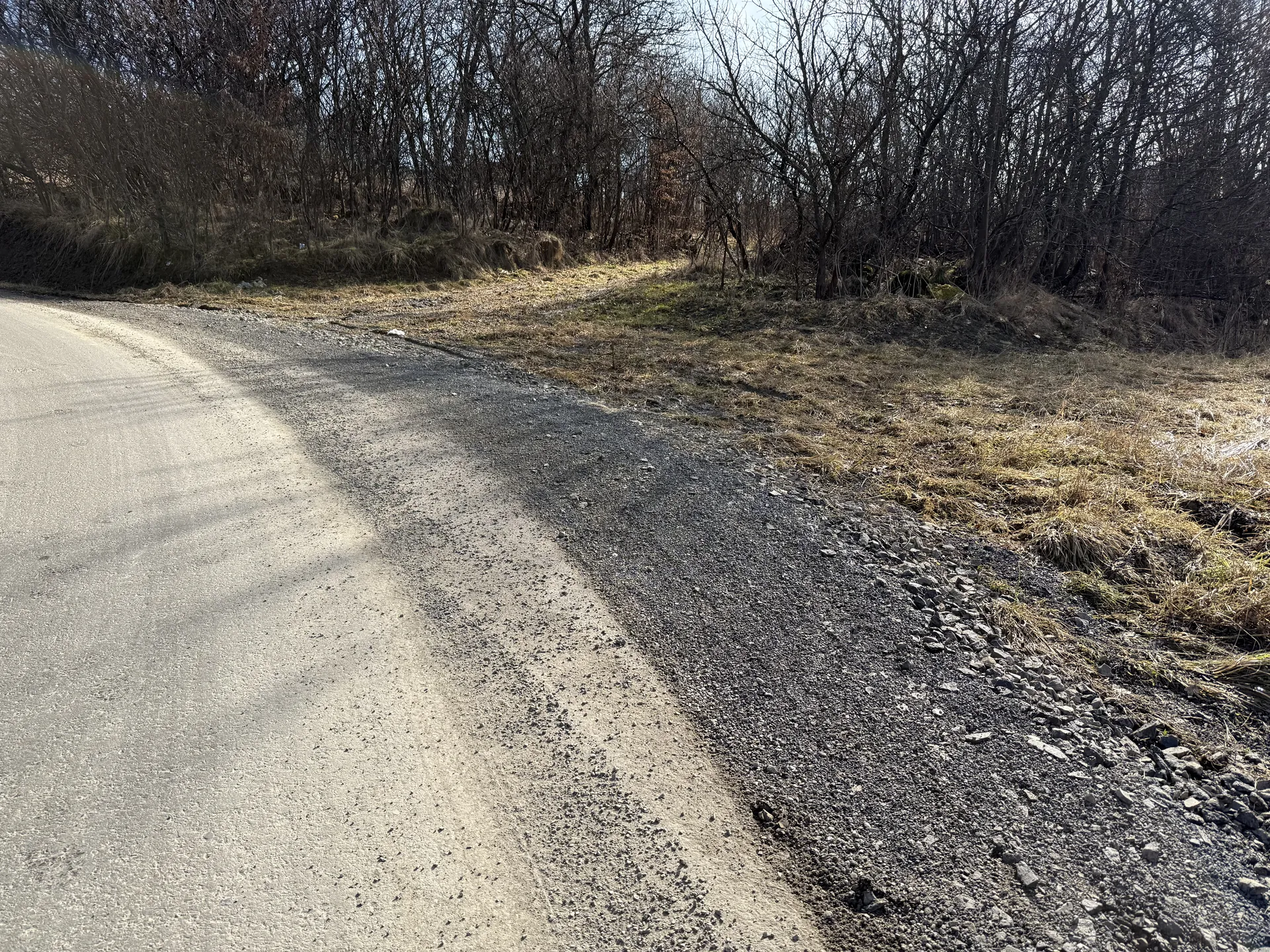 Działka 0,48 ha Paszyn, gmina Chełmiec - Licytacja w Nowym Sączu - zdjęcie 2