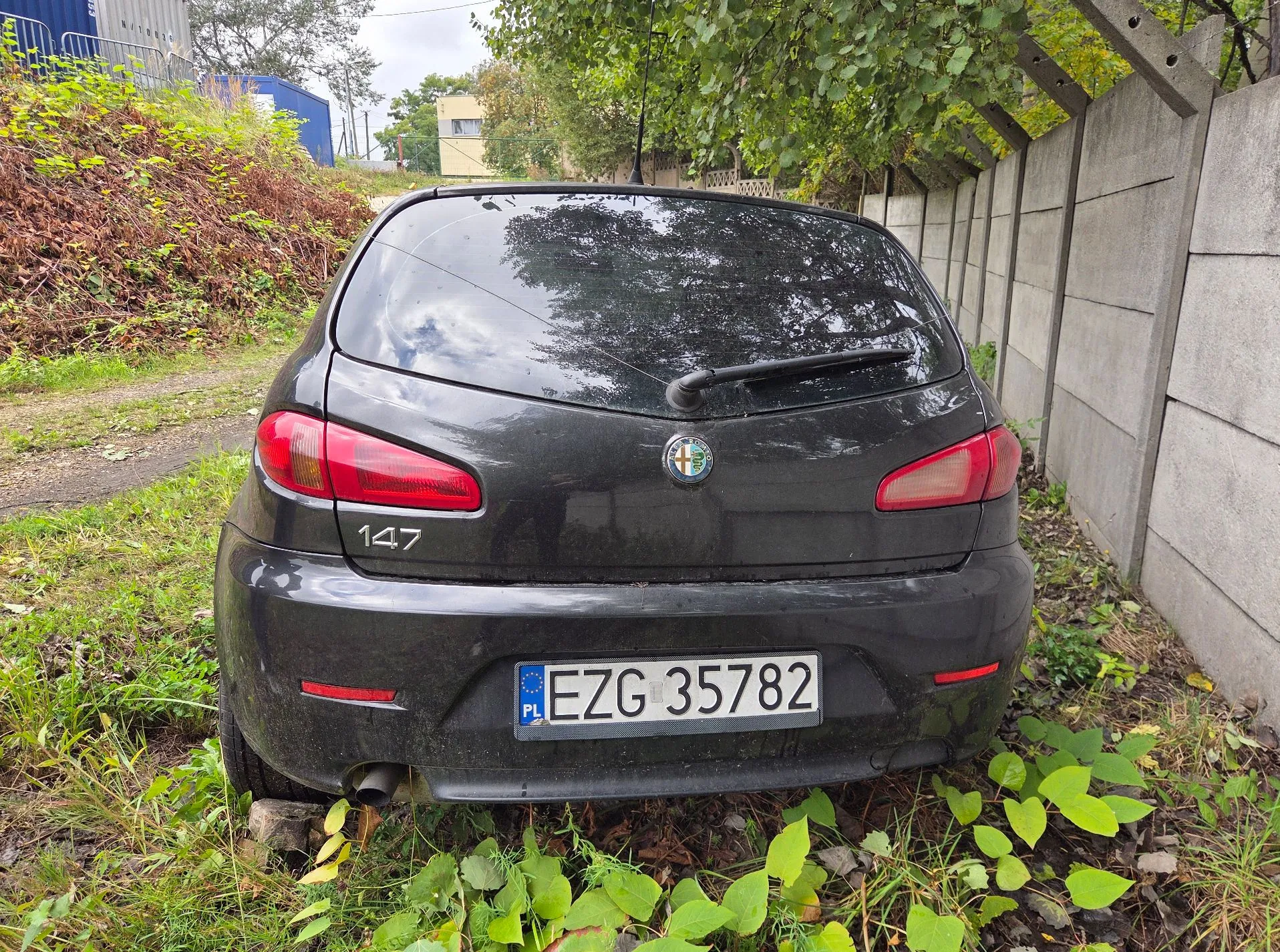 Tylny widok czarnego samochodu Alfa Romeo 147 zaparkowanego na trawiastym poboczu obok betonowego ogrodzenia. Na klapie bagażnika widoczne jest logo marki oraz oznaczenie modelu '147'. Samochód posiada polską tablicę rejestracyjną o numerze EZG 35782.