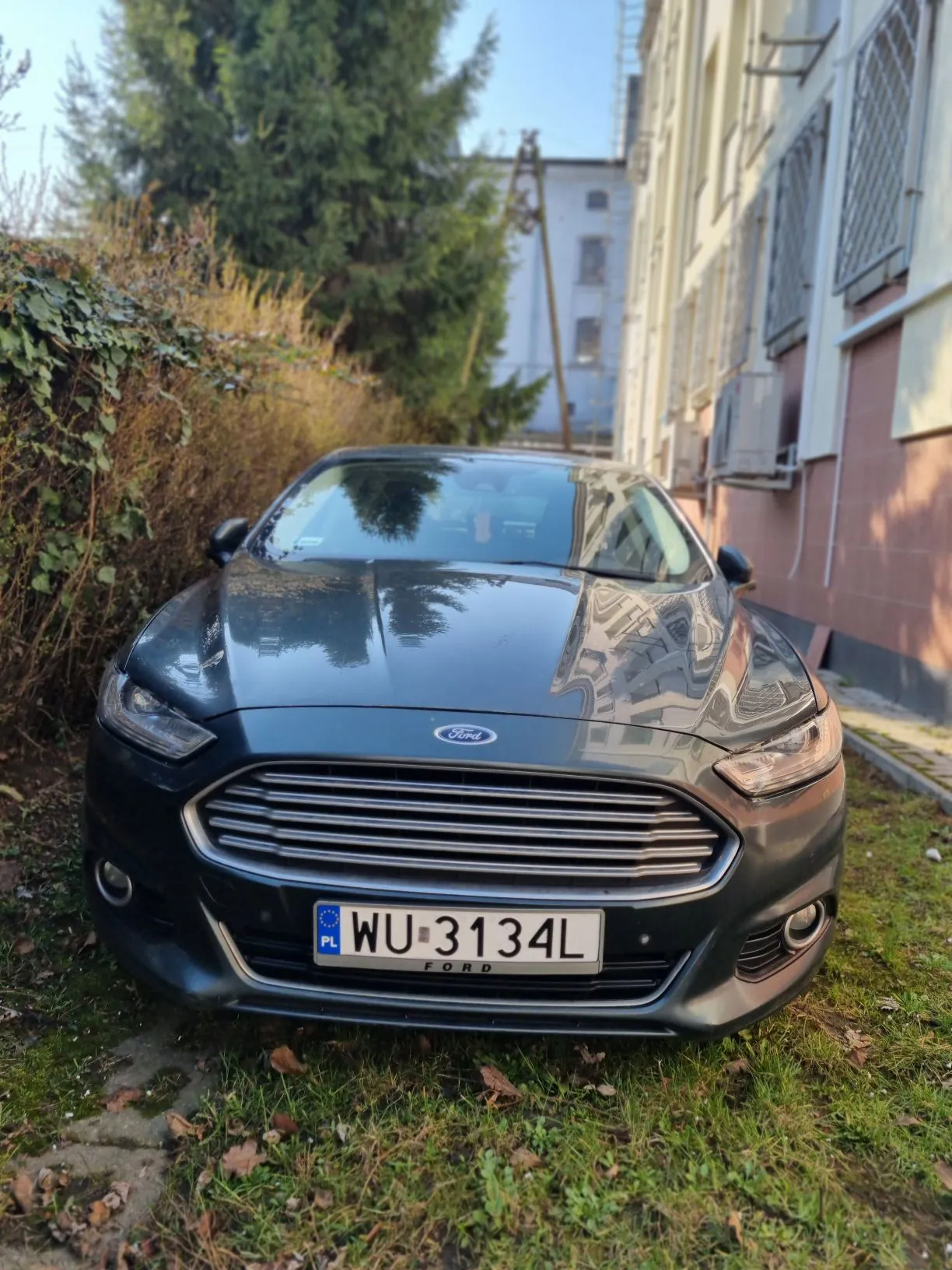 Czarny samochód marki Ford z tablicą rejestracyjną WU 3134L zaparkowany na trawie obok budynku. Widoczne są okna z kratami, drzewa i niebo. Tablica rejestracyjna zawiera oznaczenie PL oraz logo Unii Europejskiej. Samochód i tablica są ustawione pionowo, co powoduje, że tekst na tablicy jest obrócony o 90 stopni.