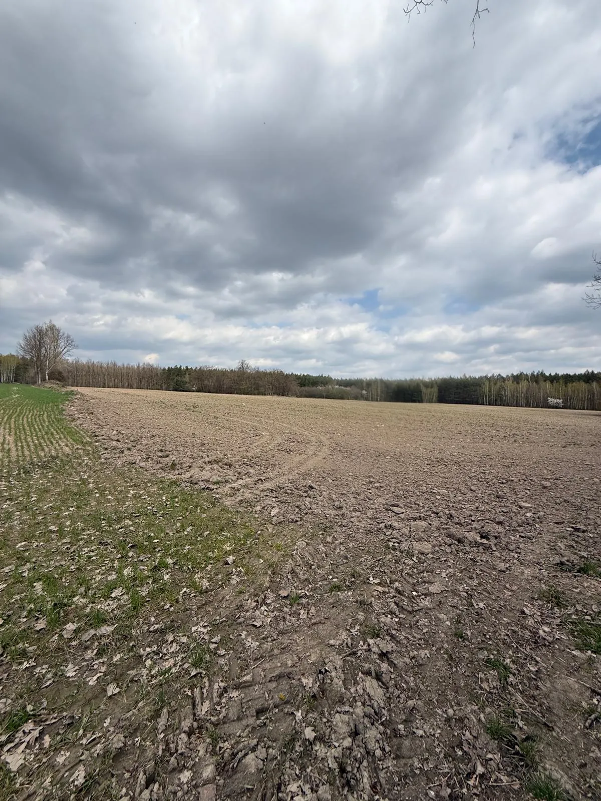 Krajobraz przedstawiający rozległe, zaorane pole o brązowej barwie ziemi. Po lewej stronie widoczny jest pas zielonej roślinności. W tle znajduje się linia lasu z drzewami bez liści, a nad wszystkim rozciąga się zachmurzone, szare niebo z niewielkimi prześwitami błękitu.