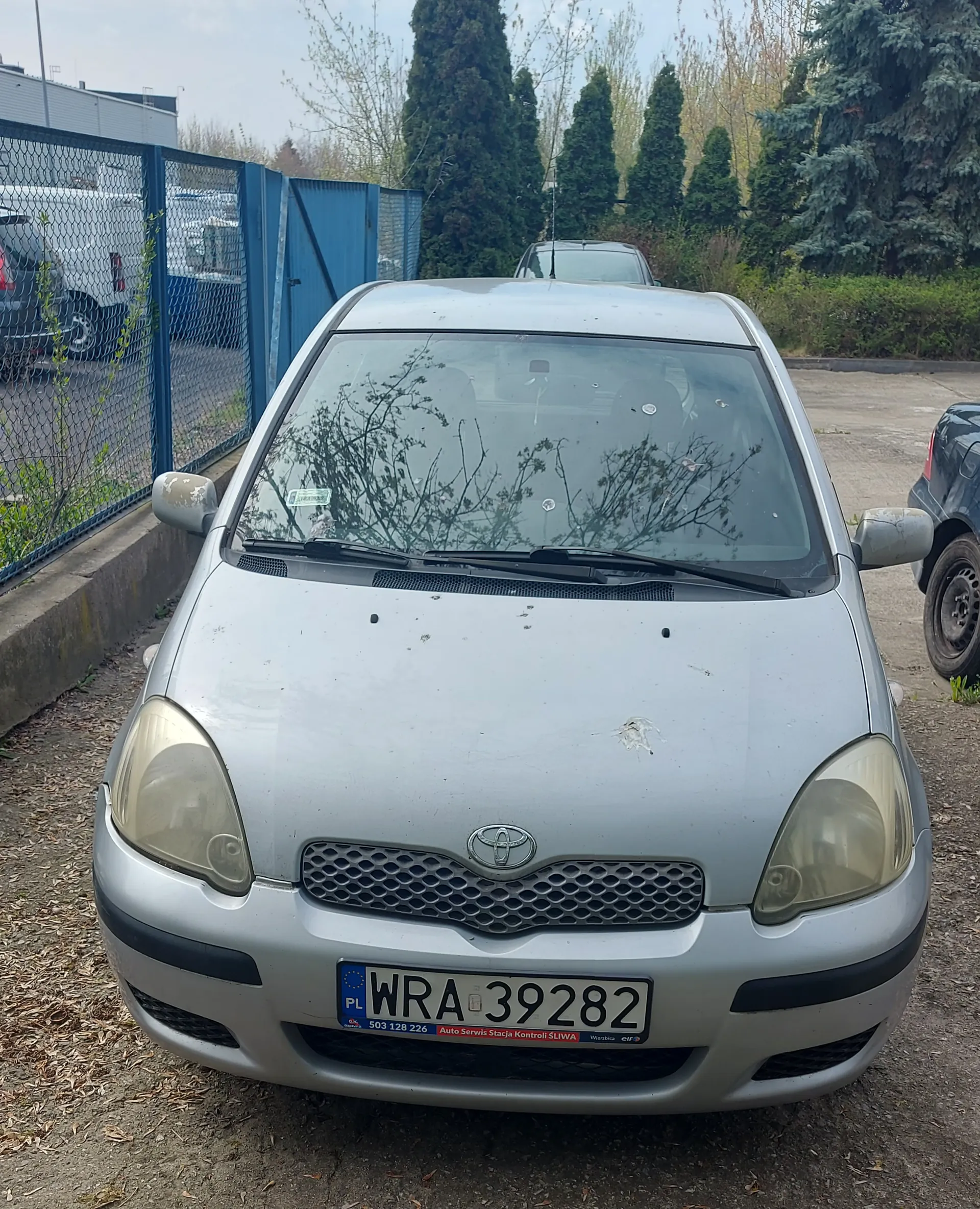 Srebrny samochód marki Toyota z przodu, z widoczną tablicą rejestracyjną WRA 39282 z kodem PL oraz napisem 503 128 226 Auto Serwis Stacja Kontroli Śliwa na dole. Samochód stoi na podwórku z ziemią i suchymi liśćmi, po lewej stronie metalowe ogrodzenie z siatką, w tle inne pojazdy, drzewa iglaste i budynek. Na masce widoczne są ślady zabrudzeń.