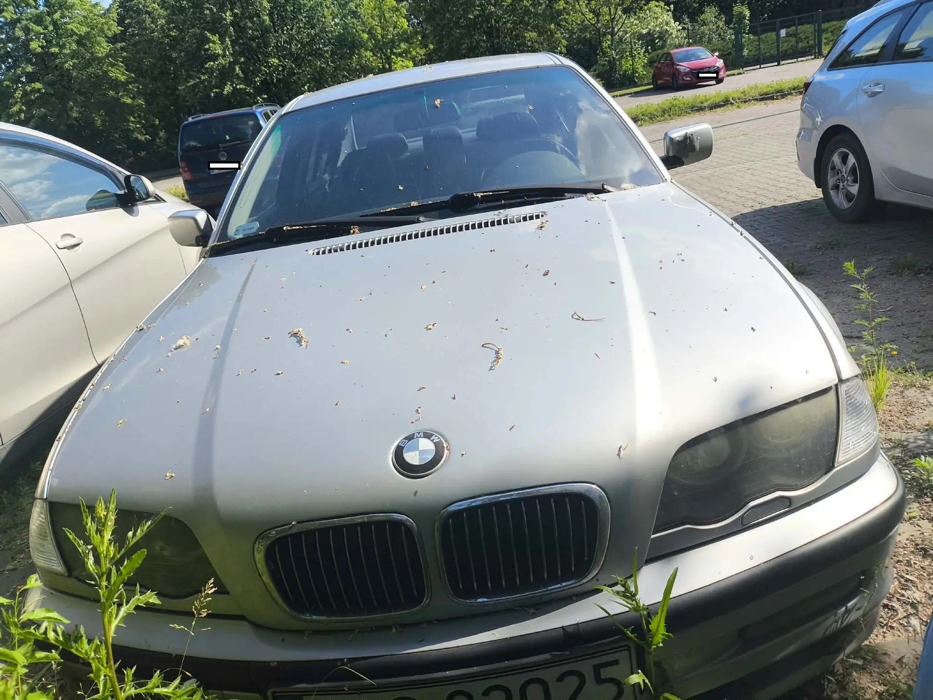 Srebrny samochód marki BMW zaparkowany na zewnątrz. Zdjęcie przedstawia przód pojazdu z widocznym logo na masce, charakterystyczną dwudzielną atrapą chłodnicy oraz reflektorami. Na masce samochodu widoczne są liczne zanieczyszczenia w postaci drobnych owadów i pyłków. W tle widać fragmenty innych samochodów oraz zielone drzewa.