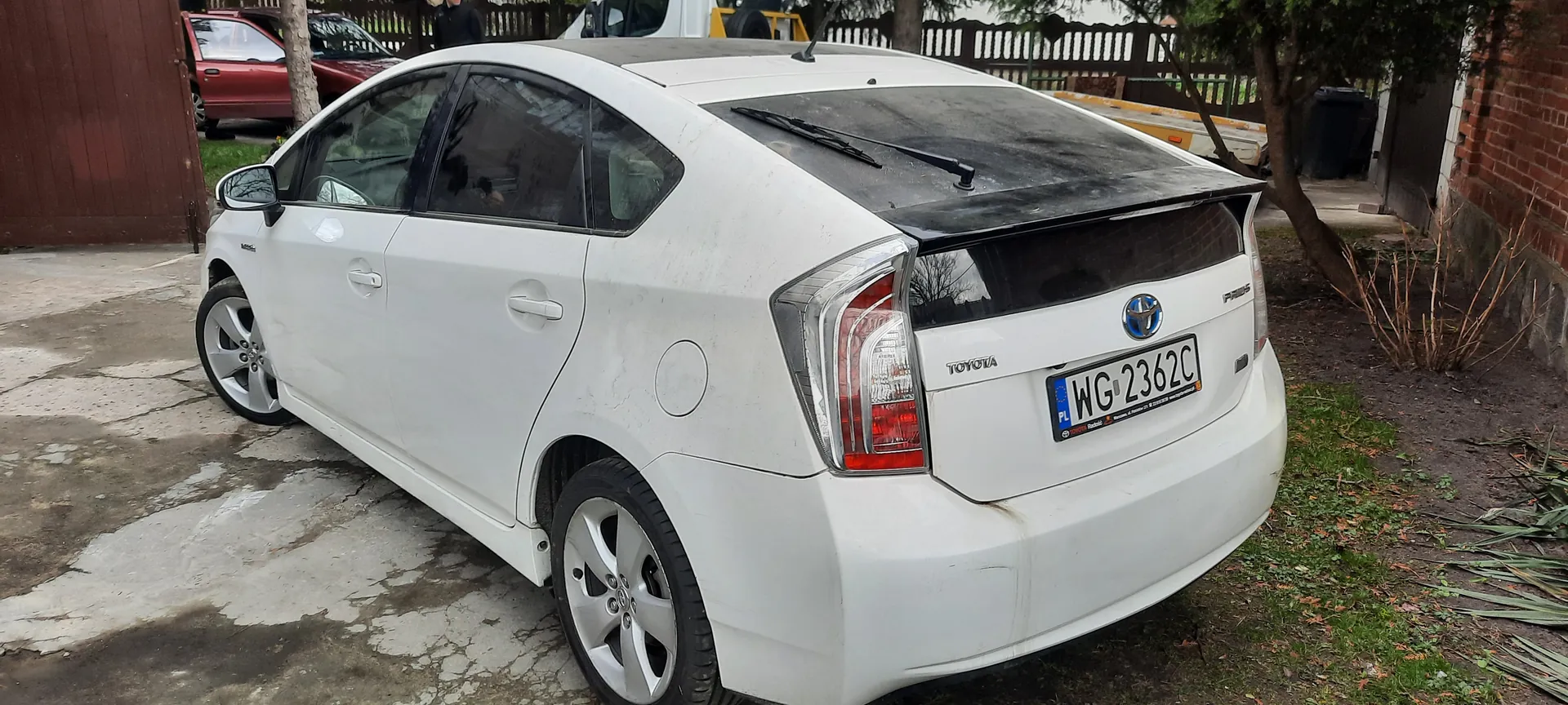 Biały samochód Toyota Prius zaparkowany na betonowej powierzchni z widoczną tablicą rejestracyjną PL WG 2362C. W tle czerwony samochód, drewniane ogrodzenie, drzewa, żółty pojazd oraz ceglana ściana. Samochód ma logo Toyoty, napis "Prius" i lekko zabrudzoną karoserię. Na prawo od pojazdu trawa i krzewy.