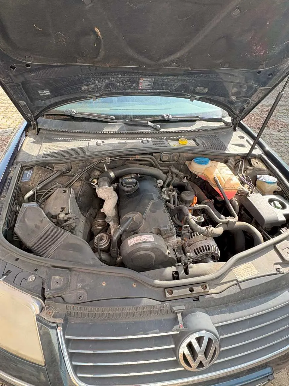 Samochód marki Volkswagen z otwartą maską, ukazujący komorę silnika. W komorze widoczne są elementy takie jak czarny silnik, żółta pokrywka zbiornika, niebieska pokrywka, przewody i inne części mechaniczne. Na przedniej masce umieszczony jest srebrny emblemat VW. Samochód stoi na brukowanej powierzchni, w tle widać przednią szybę i wycieraczki. Obraz jest zrobiony z góry, w kierunku przedniej części pojazdu.