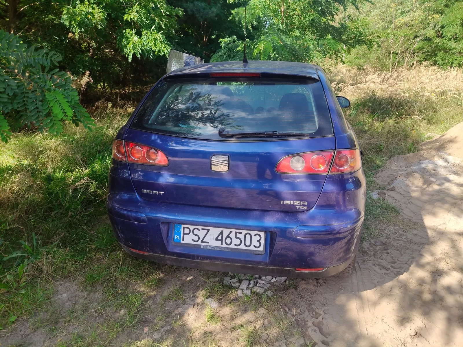 Tylny widok niebieskiego samochodu marki Seat Ibiza TDI zaparkowanego na piaszczystej drodze w otoczeniu zieleni i drzew. Samochód ma polską tablicę rejestracyjną o numerze PSZ 46503.