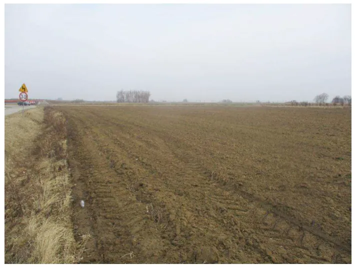 Szeroki widok na zaorane pole o brązowej ziemi z widocznymi śladami opon traktora. Po lewej stronie znajduje się pobocze z suchą trawą oraz znak drogowy ostrzegający przed zakrętem i ograniczeniem prędkości do 30 km/h. W oddali widać linię drzew pod jasnym, zachmurzonym niebem.