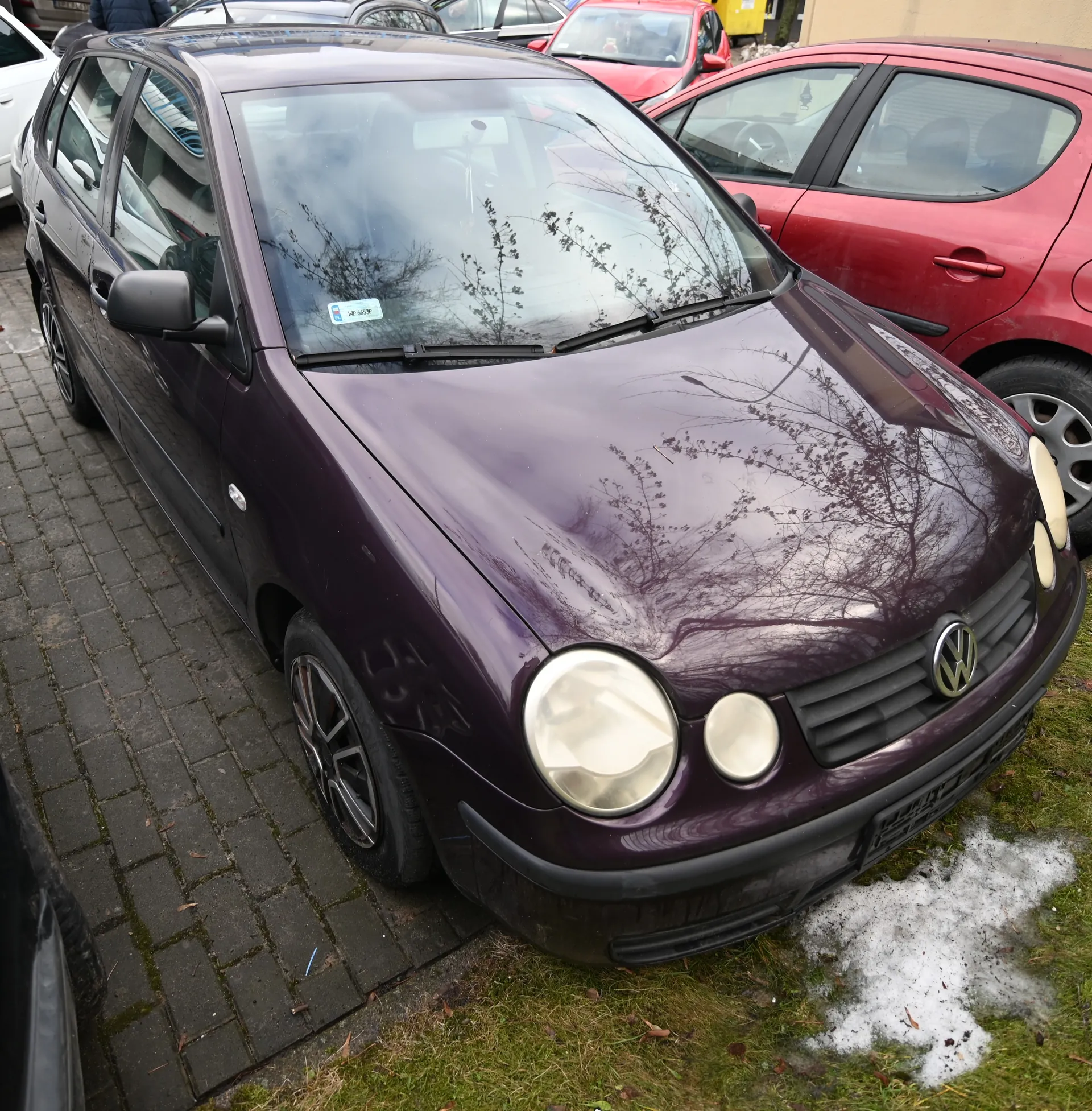Ciemnofioletowy Volkswagen Polo z okrągłymi reflektorami i czarnym zderzakiem zaparkowany pod kątem na ciemnym bruku. Na masce odbicie gałęzi i widoczne ślady. Obok czerwony samochód. Resztki śniegu na trawie. Przednia szyba z niebieską naklejką. Logo VW, felgi aluminiowe. W tle inne pojazdy i żółty pojemnik.