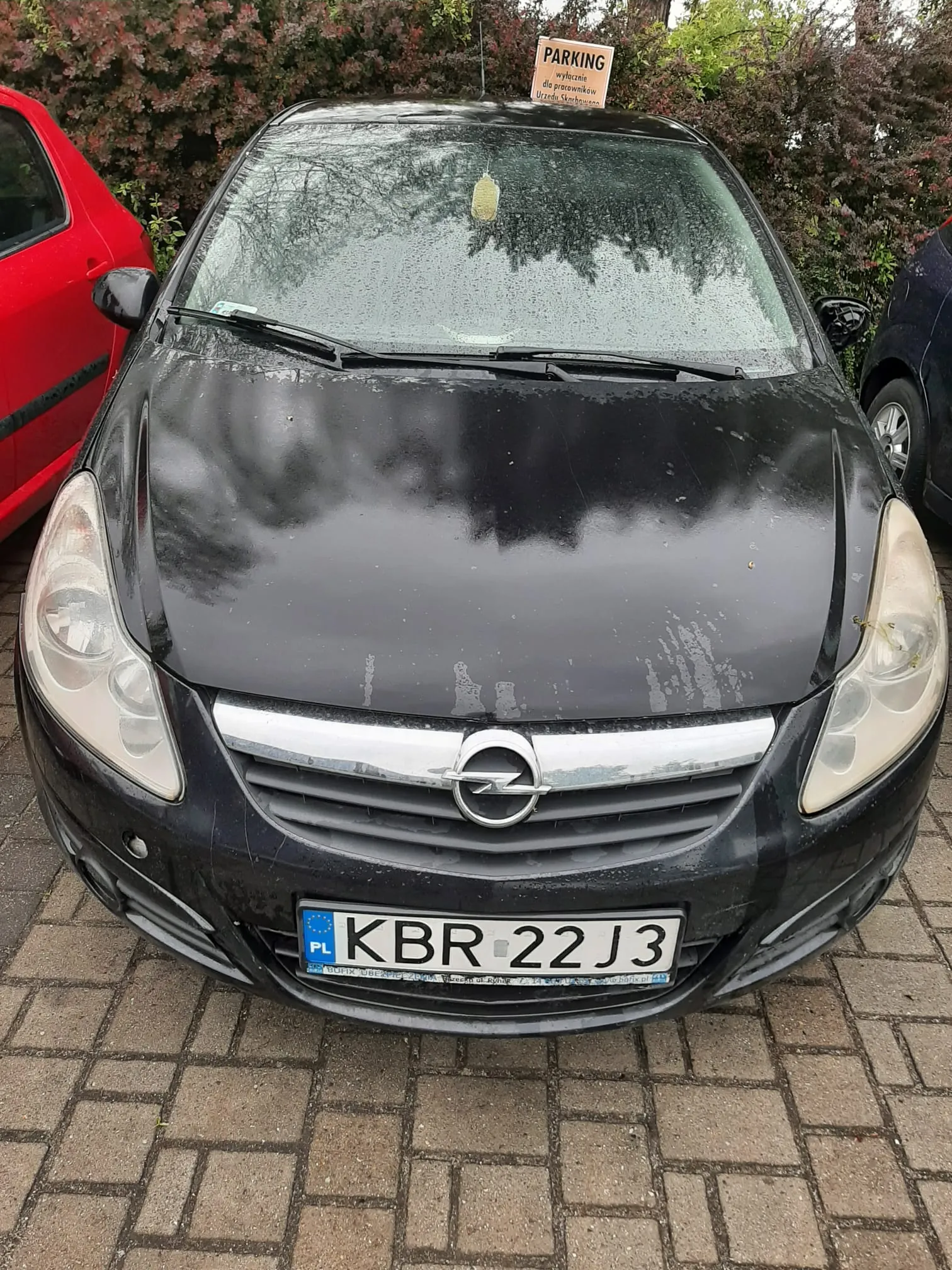 Czarny samochód marki Opel z tablicą rejestracyjną KBR 22J3 (PL) zaparkowany na brukowanej powierzchni. Na tle krzewy z czerwonymi i zielonymi liśćmi oraz tablica z napisem PARKING wyłącznie dla pracowników Urzędu Skarbowego. Po lewej stronie czerwony samochód, po prawej ciemnoniebieski. Przednią szybę pokrywa kurz i krople wody.