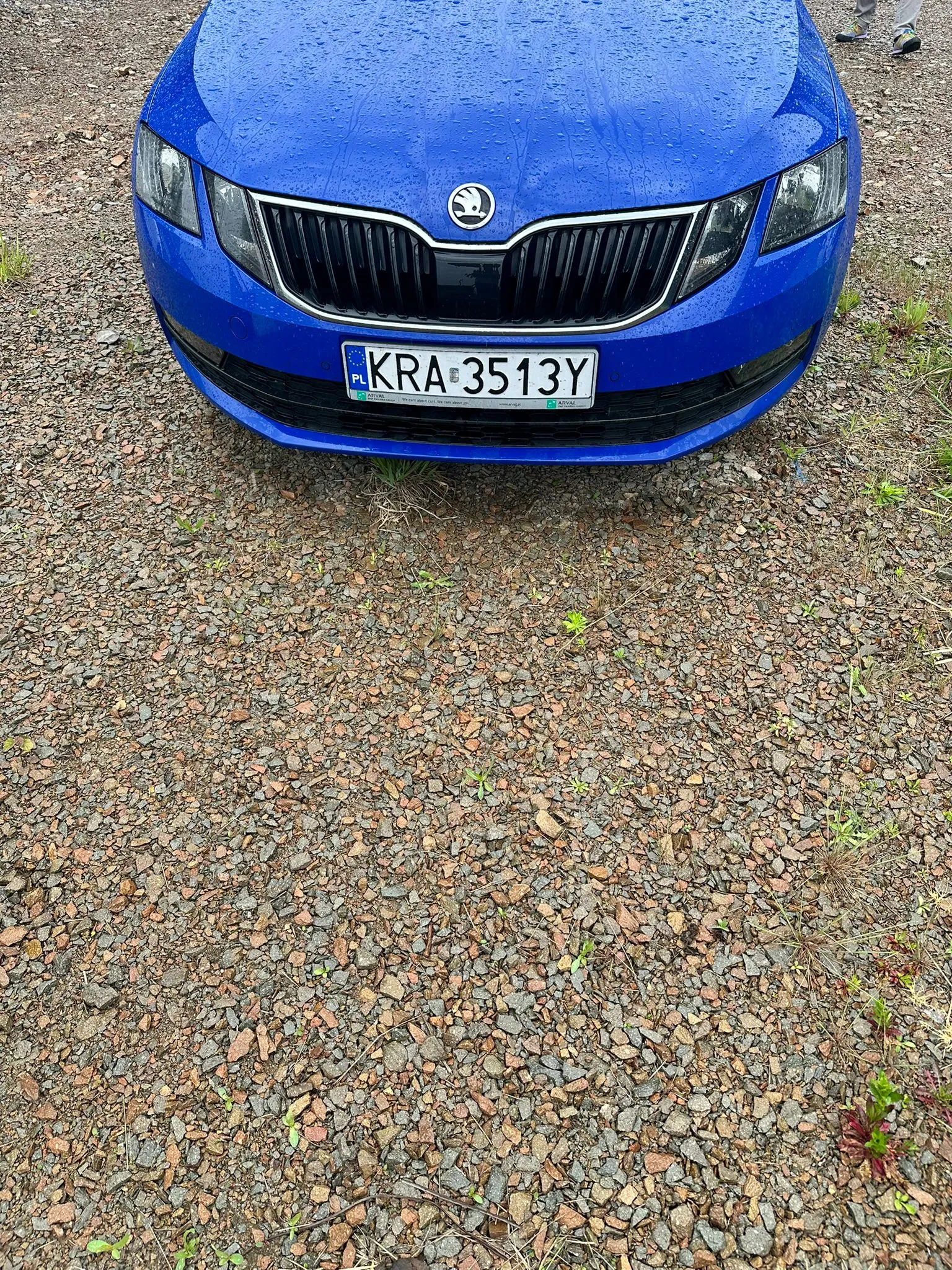 Niebieski samochód marki Škoda z przodu, z widoczną tablicą rejestracyjną PL KRA 3513Y. Na masce i szybie deszczowe krople. Samochód stoi na żwirowej powierzchni z rozproszonymi zielonymi roślinami. W tle widoczne są fragmenty butów osoby.