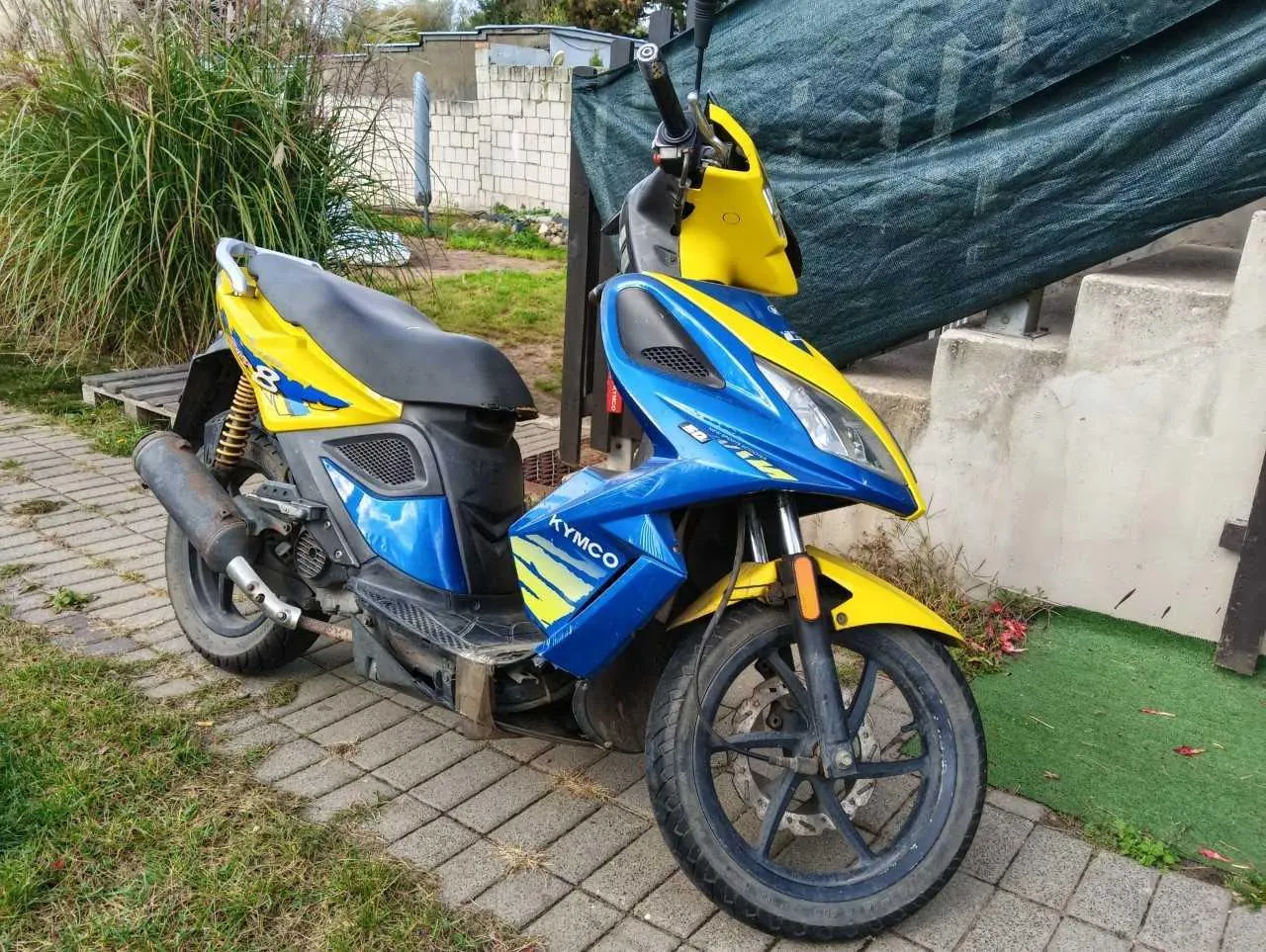 Niebiesko-żółty skuter marki Kymco zaparkowany na kostce brukowej. Pojazd ma niebieską karoserię z żółtymi akcentami na przedniej owiewce i bocznych panelach. Na boku widnieje napis 'KYMCO'. Skuter stoi na tle trawnika, białego muru oraz ciemnozielonej plandeki.