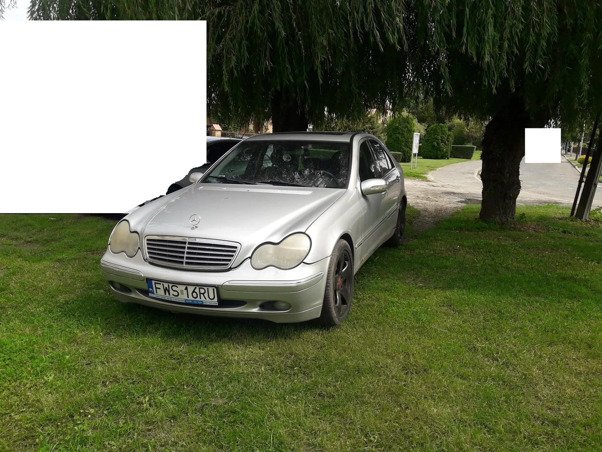 Srebrny samochód marki Mercedes-Benz zaparkowany na trawie. Widoczna tablica rejestracyjna FWS 16RU. W tle drzewo z wiszącymi gałęziami, droga, krzewy oraz fragment innego pojazdu po lewej stronie. Trawa jest zielona, a na prawo od samochodu znajduje się asfaltowa droga.
