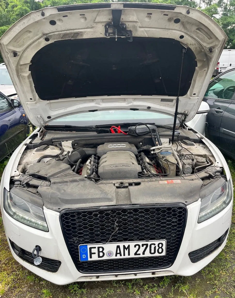 Widok z przodu białego samochodu marki Audi z otwartą maską, odsłaniającą silnik. Samochód posiada polską tablicę rejestracyjną o numerze FB AM 2708. Pojazd stoi na trawie, a w tle widoczne są inne samochody i zielone drzewa.
