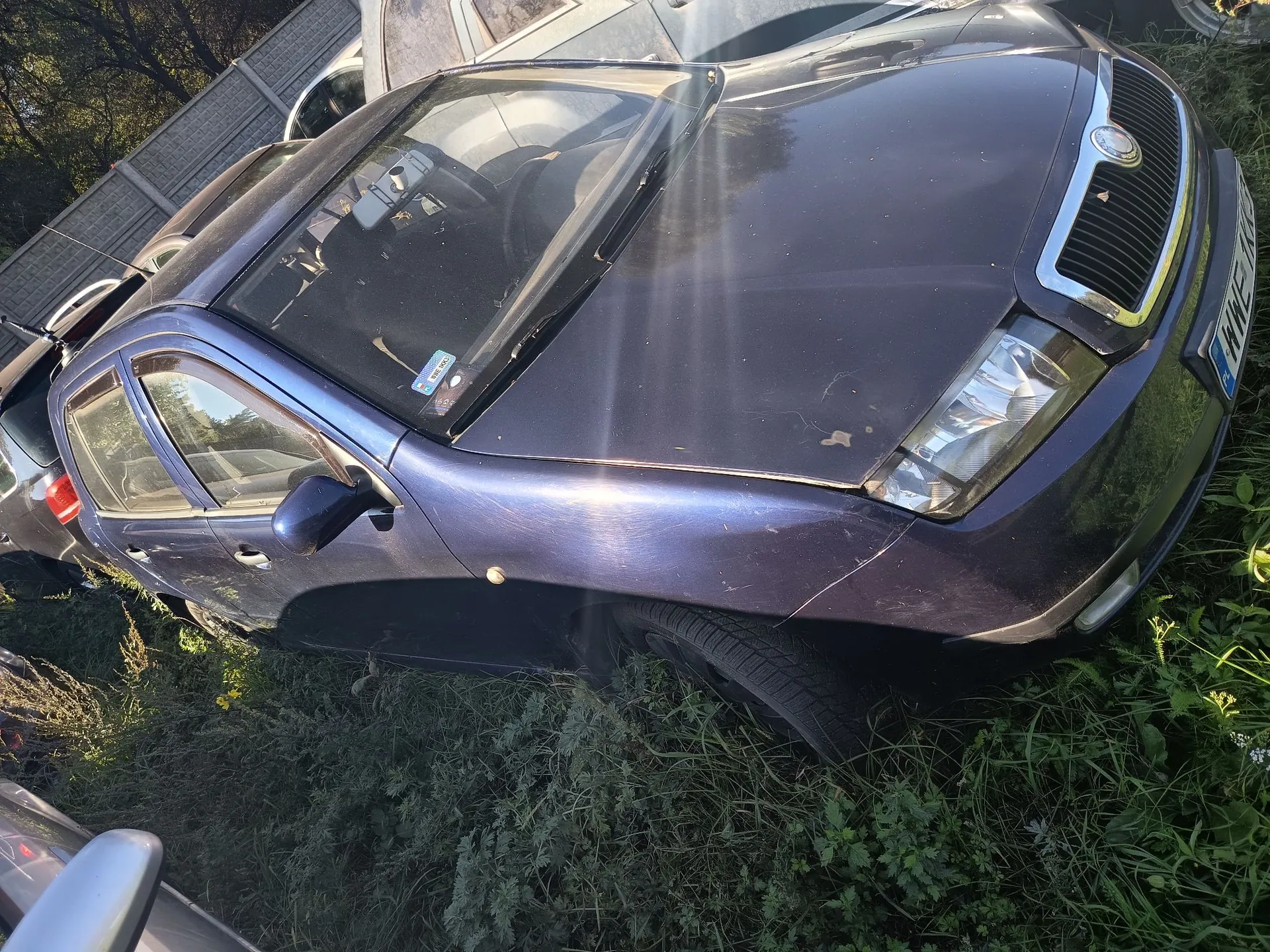 Granatowy samochód osobowy marki Skoda, zaparkowany na trawie. Pojazd jest brudny, z widocznymi zarysowaniami na masce. W tle widoczny jest fragment innego samochodu oraz metalowy płot.