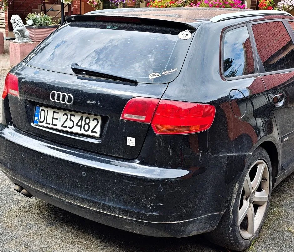 Tylny widok czarnego samochodu marki Audi w nadwoziu kombi. Na klapie bagażnika znajduje się logo Audi oraz polska tablica rejestracyjna o numerze DLE 25482. Samochód jest zakurzony, a na tylnej szybie widoczne są naklejki. W tle widać fragment budynku oraz rzeźbę lwa.