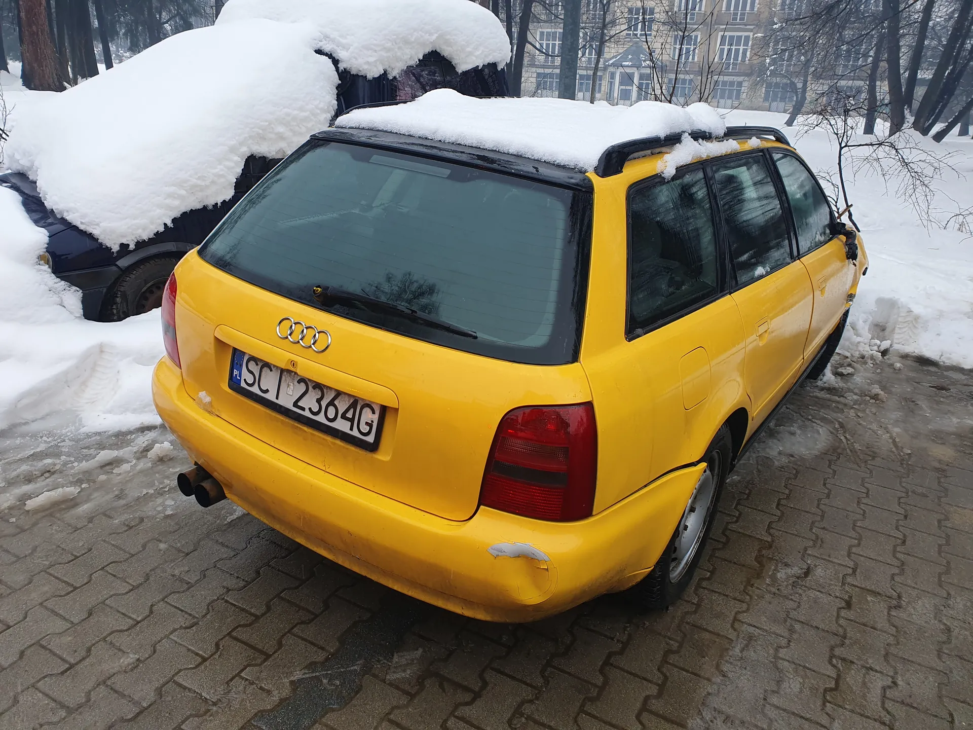 Zdjęcie przedstawia żółty samochód Audi typu kombi zaparkowany na brukowanej powierzchni. Na dachu i tylnym szybie pojazdu leży śnieg. Widoczny jest tablica rejestracyjna PL SC 12364G oraz cztery pierścienie logo Audi na bagażniku. Po lewej stronie znajduje się czarny samochód częściowo zakryty śniegiem. Tło stanowią drzewa bez liści, budynek z oknami oraz śnieżna pokrywa na ziemi.