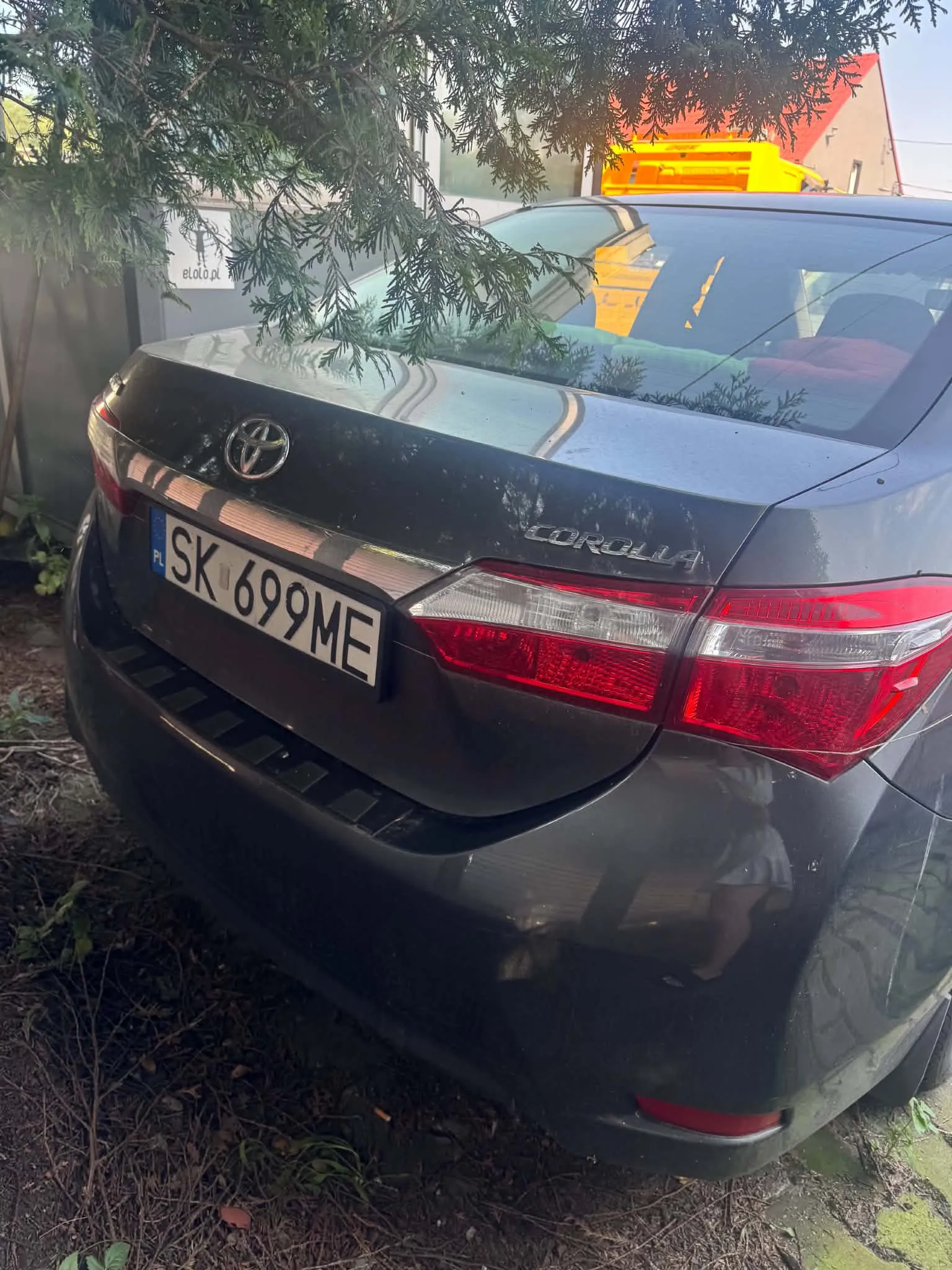Tylny widok ciemnoszarego samochodu marki Toyota Corolla. Na klapie bagażnika widoczne jest logo Toyoty, napis COROLLA oraz polska tablica rejestracyjna o numerze SK 699ME. Samochód stoi zaparkowany na ziemi, częściowo przysłonięty przez gałęzie drzewa iglastego w górnej części kadru.