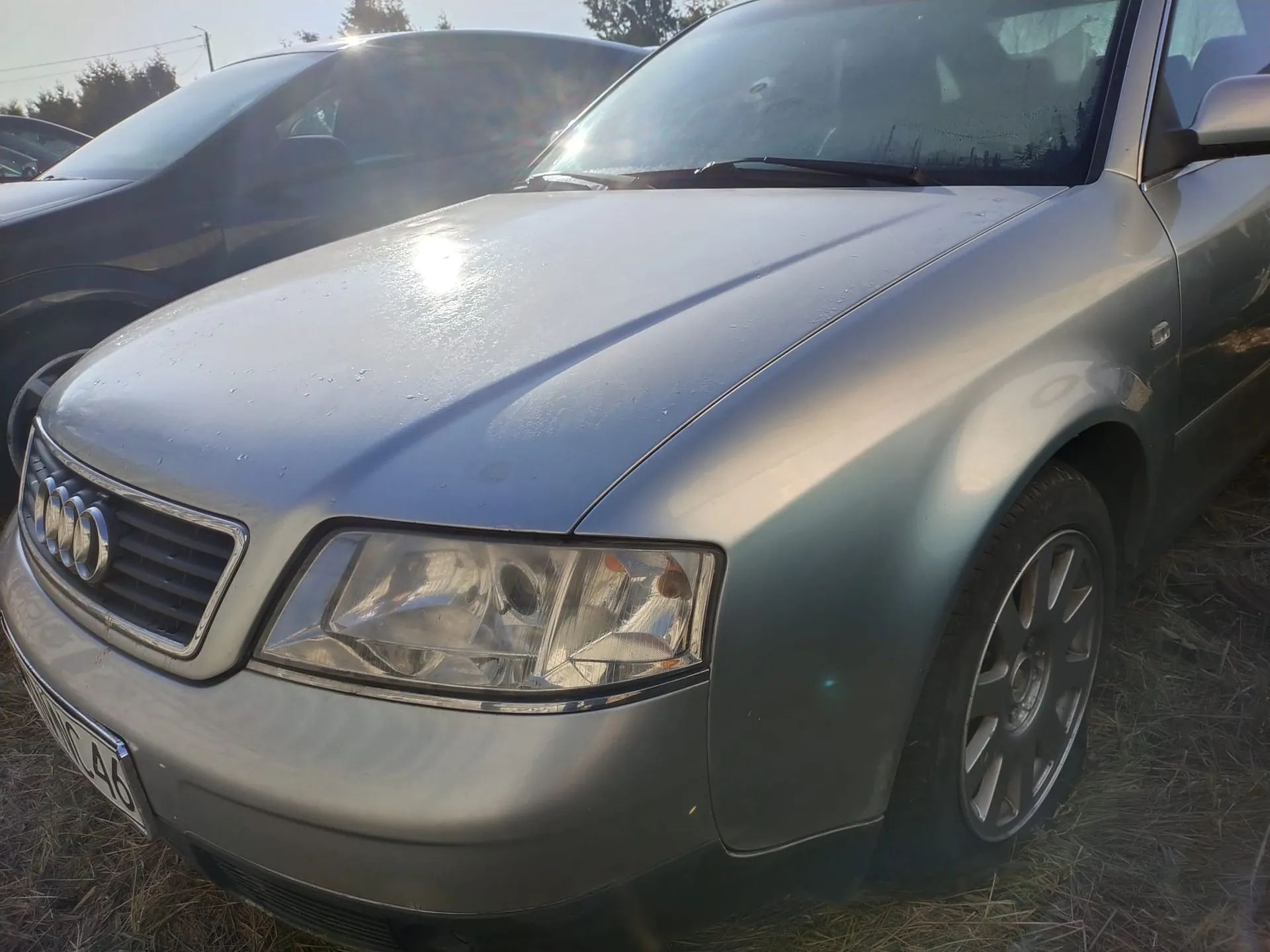 Srebrny samochód marki Audi z przodu, z widocznym logo czterech pierścieni na atrapie chłodnicy. Widoczna część tablicy rejestracyjnej z napisem C46. Samochód stoi na suchym trawie, w tle inny ciemny samochód i drzewa. Słońce oświetla maskę, powodując połysk.