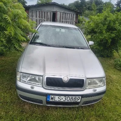 Srebrny samochód marki Škoda z przodu, z widoczną tablicą rejestracyjną WL S 30889. Pojazd stoi na trawie, w tle drewniana budowla i zielone krzewy. Samochód ma czystą przednią szybę i reflektory.