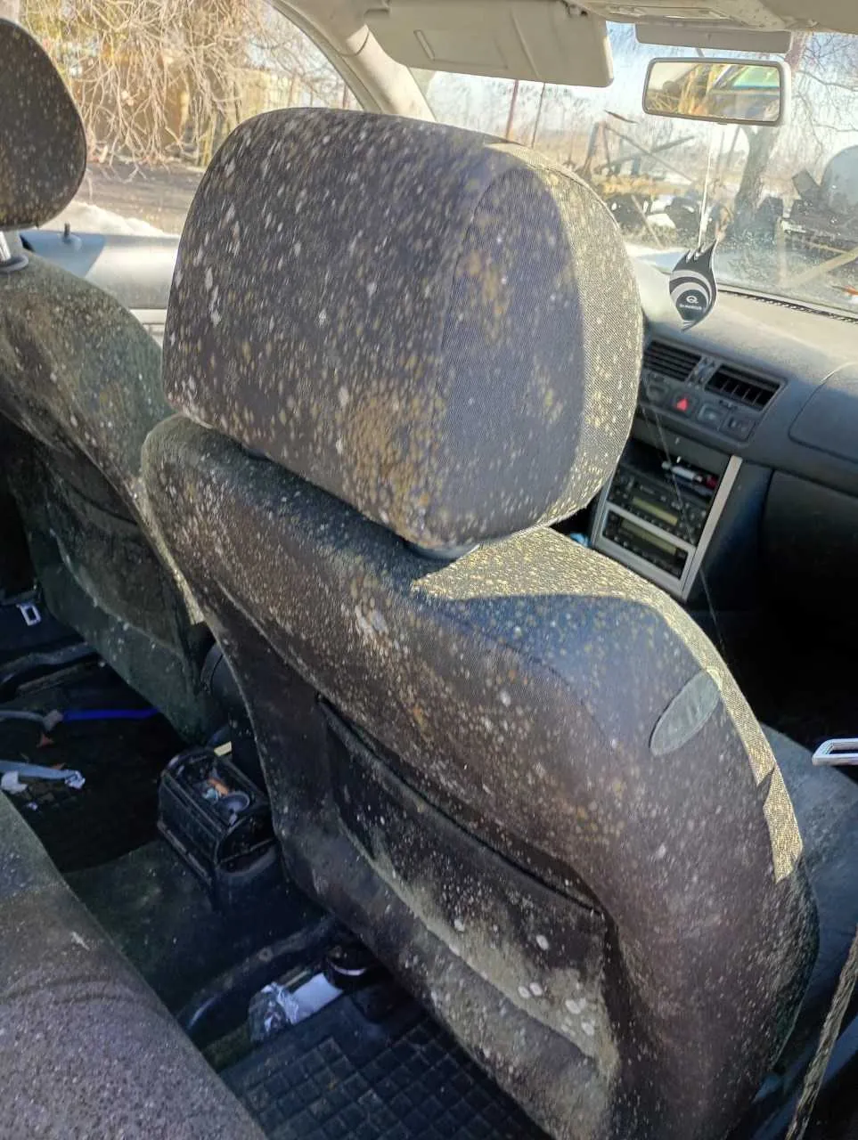 Wnętrze samochodu z widocznymi siedzeniami pokrytymi plamami grzybicy lub brudu w kolorach białym i brązowym. Widoczne są poduszki zagłówkowe, deska rozdzielcza z radioodtwarzaczem, lusterko wsteczne oraz przedmioty na podłodze. Przez przednią szybę widać zewnętrzne otoczenie z drzewami i budowlami.