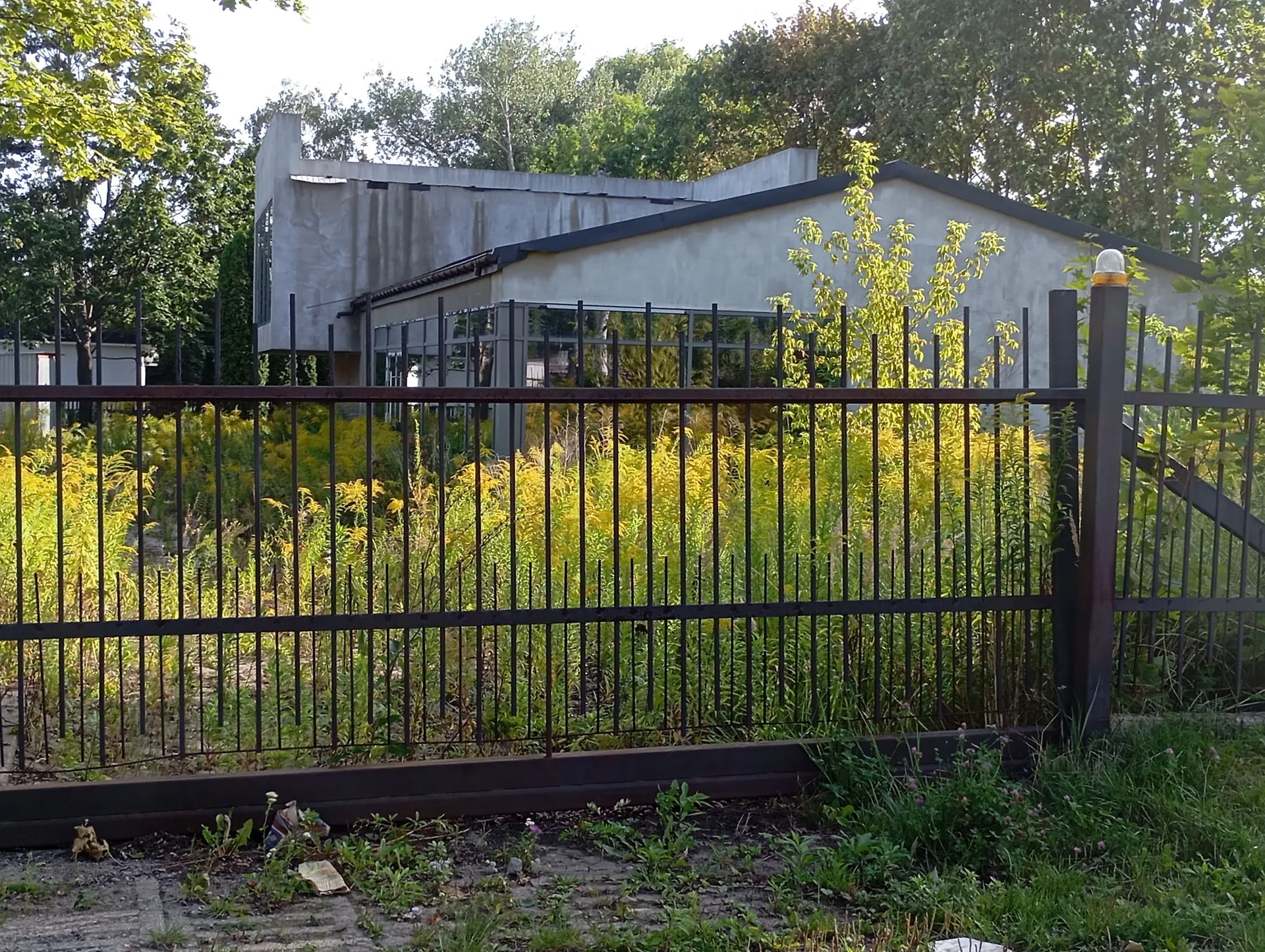Nowoczesny, betonowy budynek o nieregularnej bryle z dużymi przeszkleniami, znajdujący się za czarnym, metalowym ogrodzeniem z pionowych prętów. Przed budynkiem rosną wysokie, żółte rośliny trawiaste i krzewy. W tle widoczne są gęste, zielone drzewa.