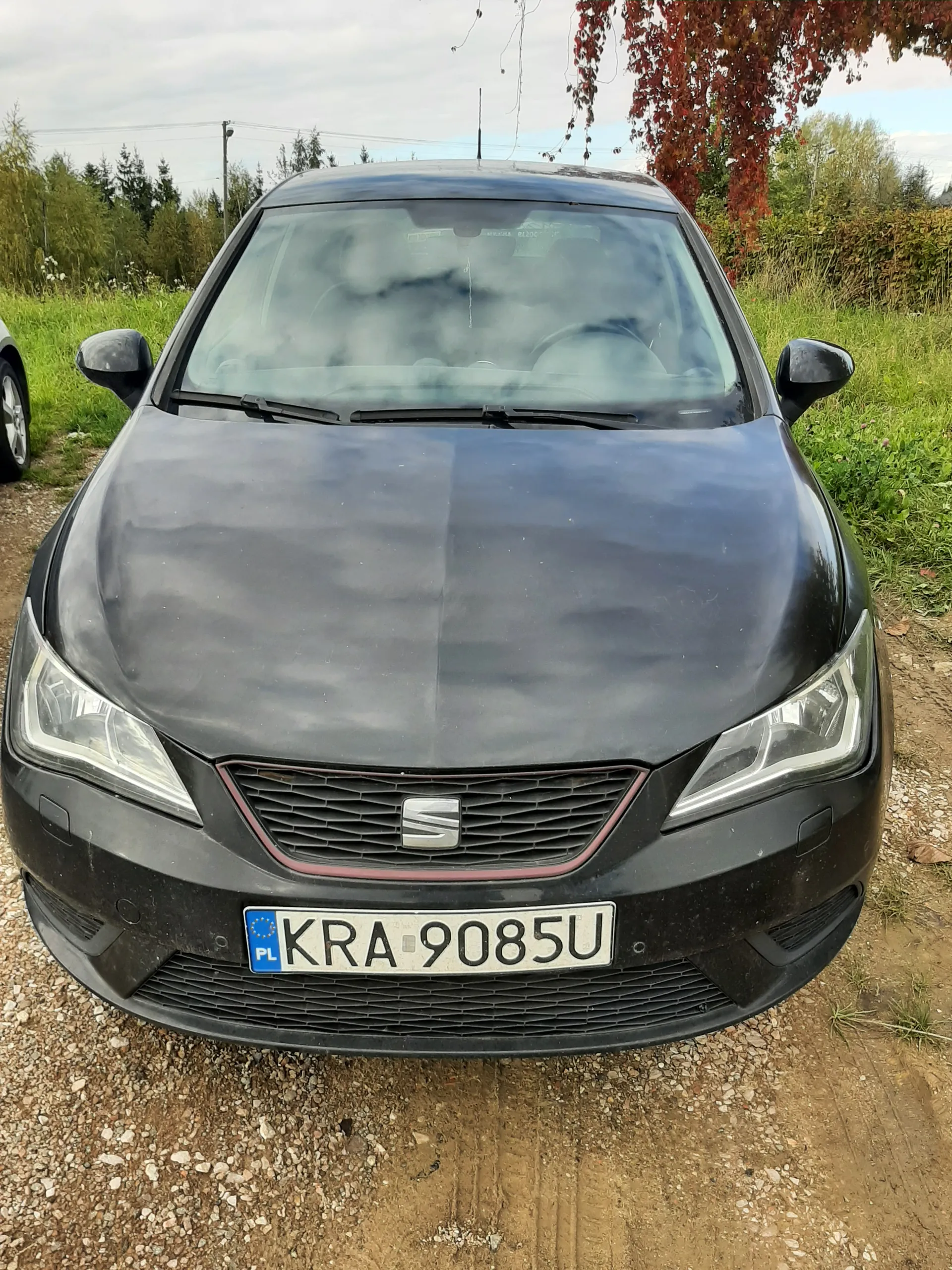 Czarny samochód marki SEAT z przodu, z tablicą rejestracyjną KRA 9085U (PL) umieszczoną po prawej stronie. Samochód stoi na drodze żwirowej, w tle trawa, drzewa z czerwonymi liśćmi oraz niebo z chmurami. Widoczne są reflektory, atrapa chłodnicy i lusterka boczne.