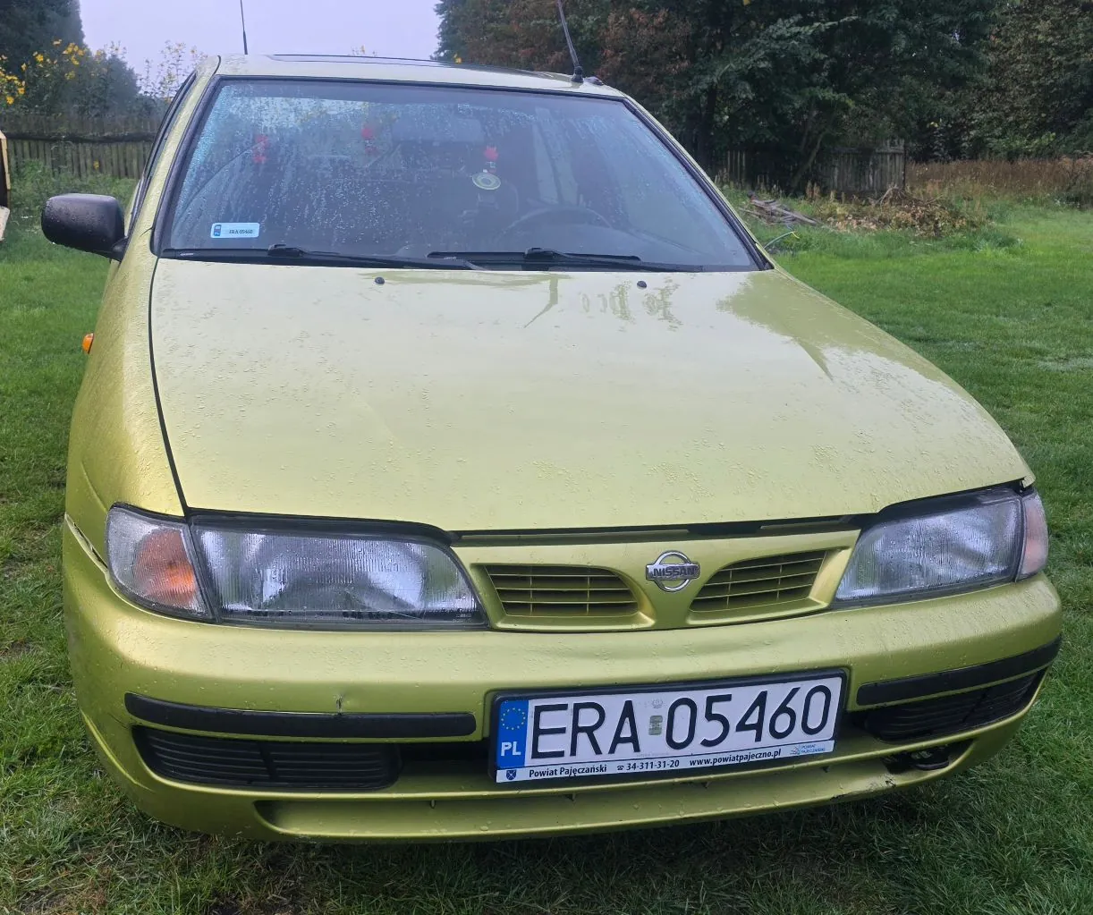 Jasnozielony samochód marki Nissan zaparkowany na trawie. Widoczny jest przód pojazdu z tablicą rejestracyjną o numerze ERA 05460. Poniżej numeru rejestracyjnego znajduje się napis: 'Powiat Pajęczański 34-311-31-20 www.powiatpajeczna.pl'. Na masce i szybie widoczne są krople deszczu.
