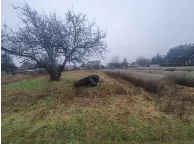 Pola z suchą trawą i kilkoma balami siana, na lewo od centrum pojedyncze drzewo bez liści, w tle rozmyte budynki i drzewa, niebo zachmurzone