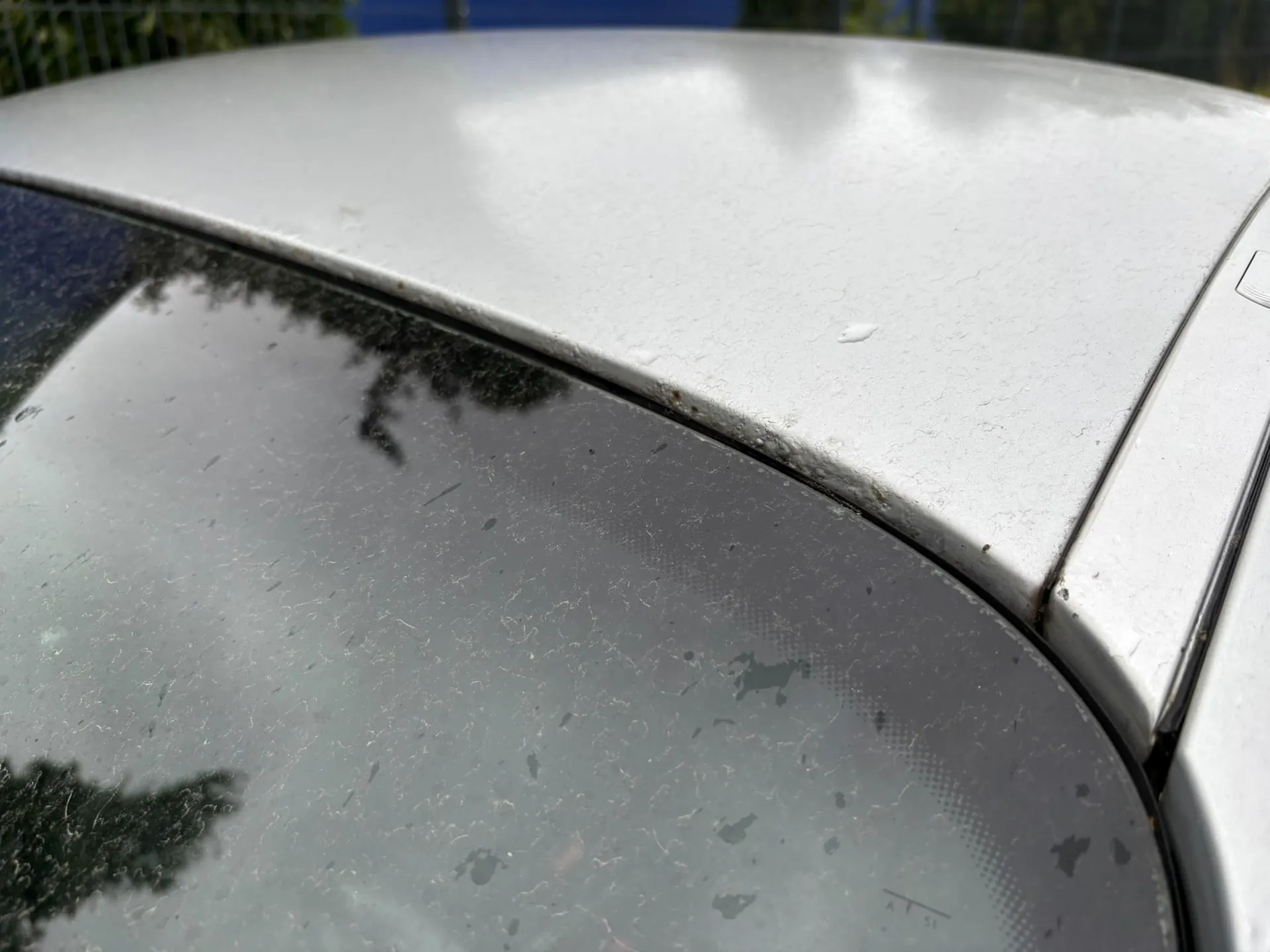Zbliżenie na srebrny lakier samochodu w okolicy krawędzi przedniej szyby. Na powierzchni lakieru widoczne są liczne drobne odpryski i zarysowania, a na krawędzi styku z szybą znajduje się niewielka korozja. Szyba jest zakurzona i widać w niej odbicie drzew.