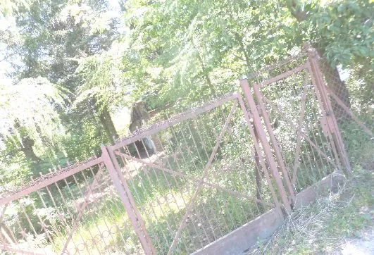 Zdjęcie przedstawiające zardzewiały, metalowy płot z bramą, wykonany z prętów w układzie krzyżowym. Płot znajduje się na tle gęstej, zielonej roślinności i drzew. Obraz jest prześwietlony, a horyzont jest mocno przechylony w lewo.