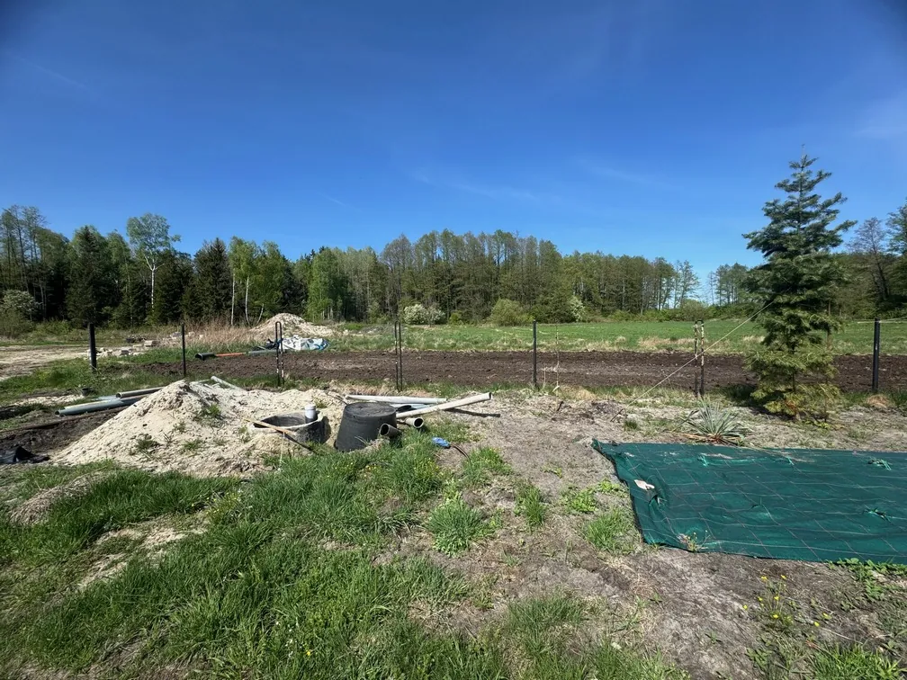 Krajobraz terenu budowy lub ogrodnictwa w słoneczny dzień pod bezchmurnym, niebieskim niebem. Na pierwszym planie widać kępę zielonej trawy, hałdę jasnego piasku, czarną rurę kanalizacyjną oraz zieloną siatkę rozłożoną na ziemi. W środkowej części znajduje się wyrównany pas ciemnej, przekopanej ziemi oddzielony niskim ogrodzeniem z metalowych słupków i drutu. W tle widać gęsty pas zielonych drzew i las pod horyzontem. Po prawej stronie stoi pojedyncza, młoda choinka.