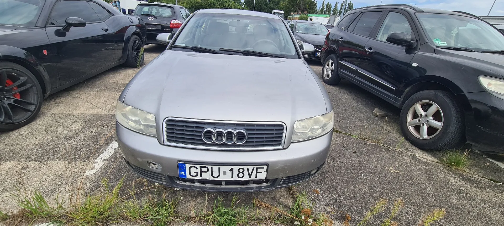 Srebrny samochód marki Audi zaparkowany na betonowym placu pomiędzy czarnym samochodem sportowym po lewej i czarnym SUV-em po prawej. Na przodzie Audi widoczna jest polska tablica rejestracyjna o numerze GPU 18VF.