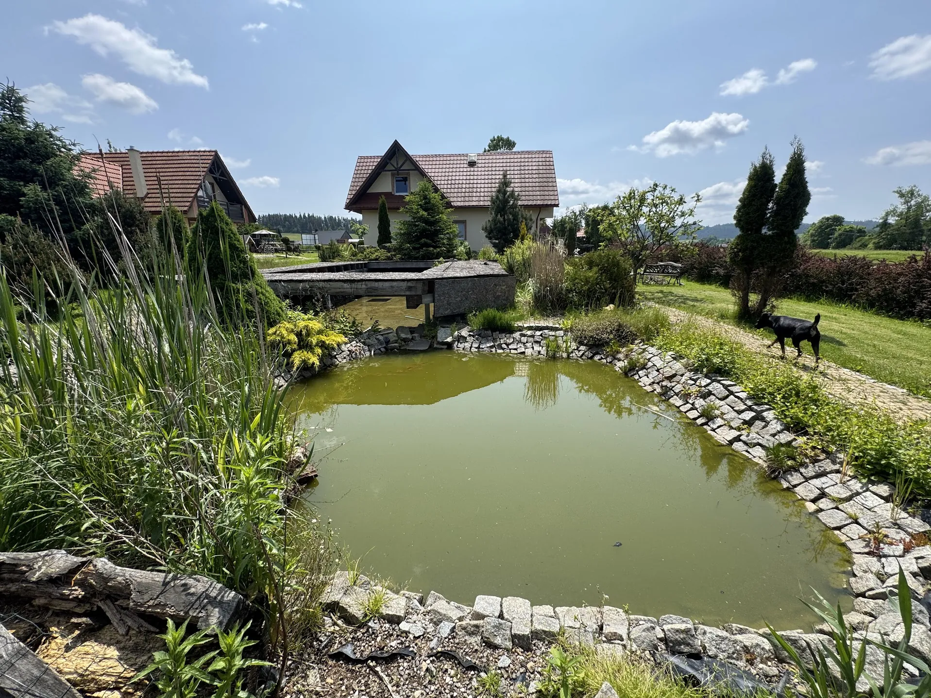 Ogród z zielonym stawem o kamiennym brzegu. W tle dwa domy z czerwonymi dachami, zielone krzewy i drzewa. Czarny pies chodzi po ścieżce po prawej stronie. Jasne niebo z kilkoma chmurami. W oddali widoczne są pola i lasy.