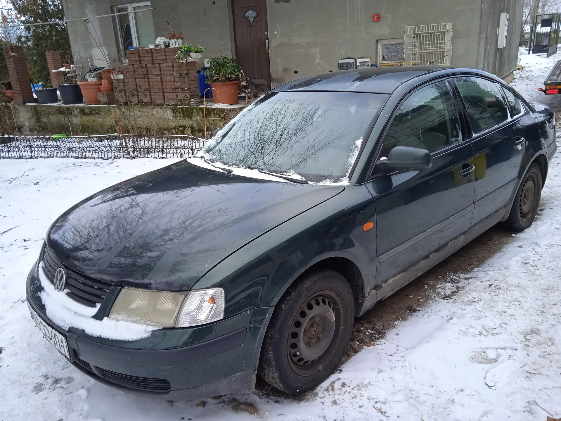 Ciemnozielony samochód osobowy marki Volkswagen z tablicą rejestracyjną WU 1041 zaparkowany na śnieżnej nawierzchni. Na masce, przedniej szybie i reflektorach widoczny śnieg. W tle budynek z betonową ścianą, brązowymi donicami z roślinami, stosem cegieł oraz psem stojącym przy brązowych drzwiach. Na ziemi śnieg z odciskami kół i odkrytymi fragmentami gruntu.