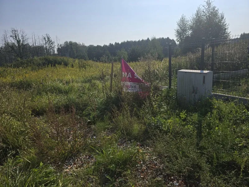 Krajobraz z dziką roślinnością, trawami i krzewami na pierwszym planie. W tle widoczna jest linia lasu pod jasnym niebem. Po prawej stronie znajduje się metalowy płot z drutem kolczastym oraz szara, betonowa szafka techniczna. W centralnej części obrazu widać czerwoną flagę z białym napisem, z którego widoczne są litery 'MA' oraz fragmenty mniejszego tekstu poniżej.