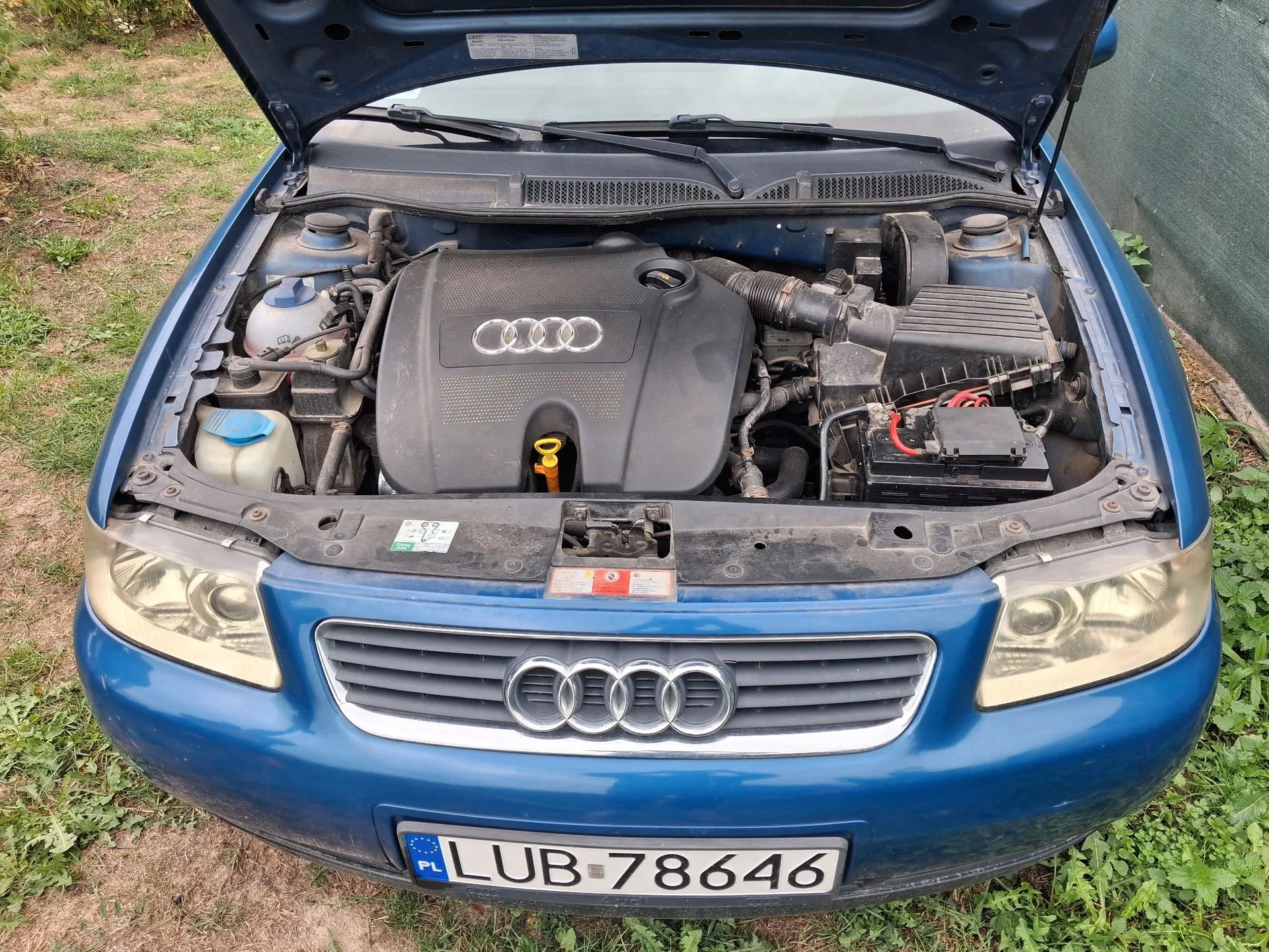 Widok z przodu na niebieski samochód marki Audi z otwartą maską, odsłaniającą silnik i akumulator. Na przednim grillu znajduje się logo Audi składające się z czterech splecionych pierścieni. Samochód ma polską tablicę rejestracyjną o numerze LUB 78646.