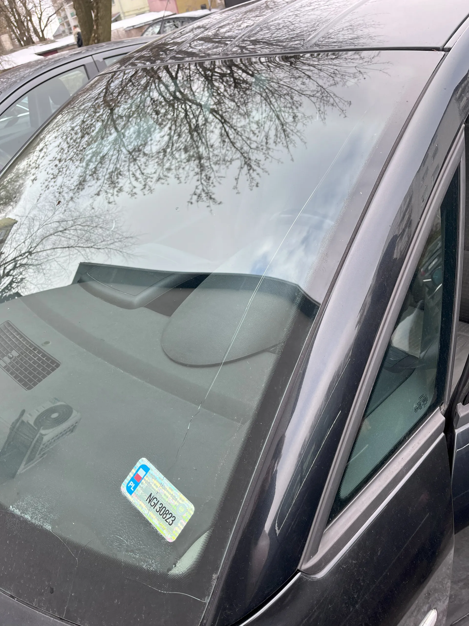 Czarny samochód z przodu, widoczne przednie szyby z odbiciem drzew bez liści i nieba. Na przedniej szybie naklejka z napisem PL oraz numerem NGJ 30823. W tle inne zaparkowane samochody, drzewa i budynki. Szyba przednia ma drobne pęknięcia.