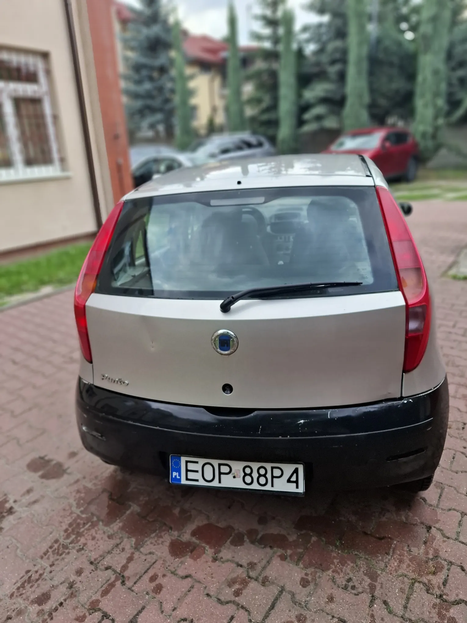 Tylny widok srebrnego samochodu marki Fiat Punto zaparkowanego na kostce brukowej. Pojazd ma czarny zderzak i polską tablicę rejestracyjną o numerze EOP 88P4. W tle widoczne są inne zaparkowane samochody, budynek oraz wysokie, wąskie drzewa iglaste.