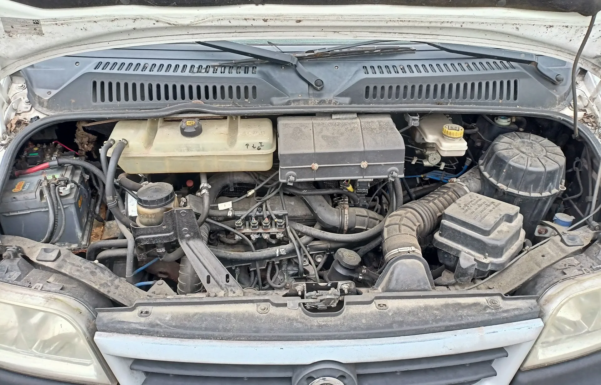 Widok z góry na komorę silnika białego samochodu. Widoczne są poszczególne elementy mechaniczne: akumulator po lewej stronie, zbiornik płynu chłodniczego, obudowa filtra powietrza po prawej stronie oraz liczne przewody i rury. W tle znajduje się podszybie z wlotami powietrza i wycieraczkami.