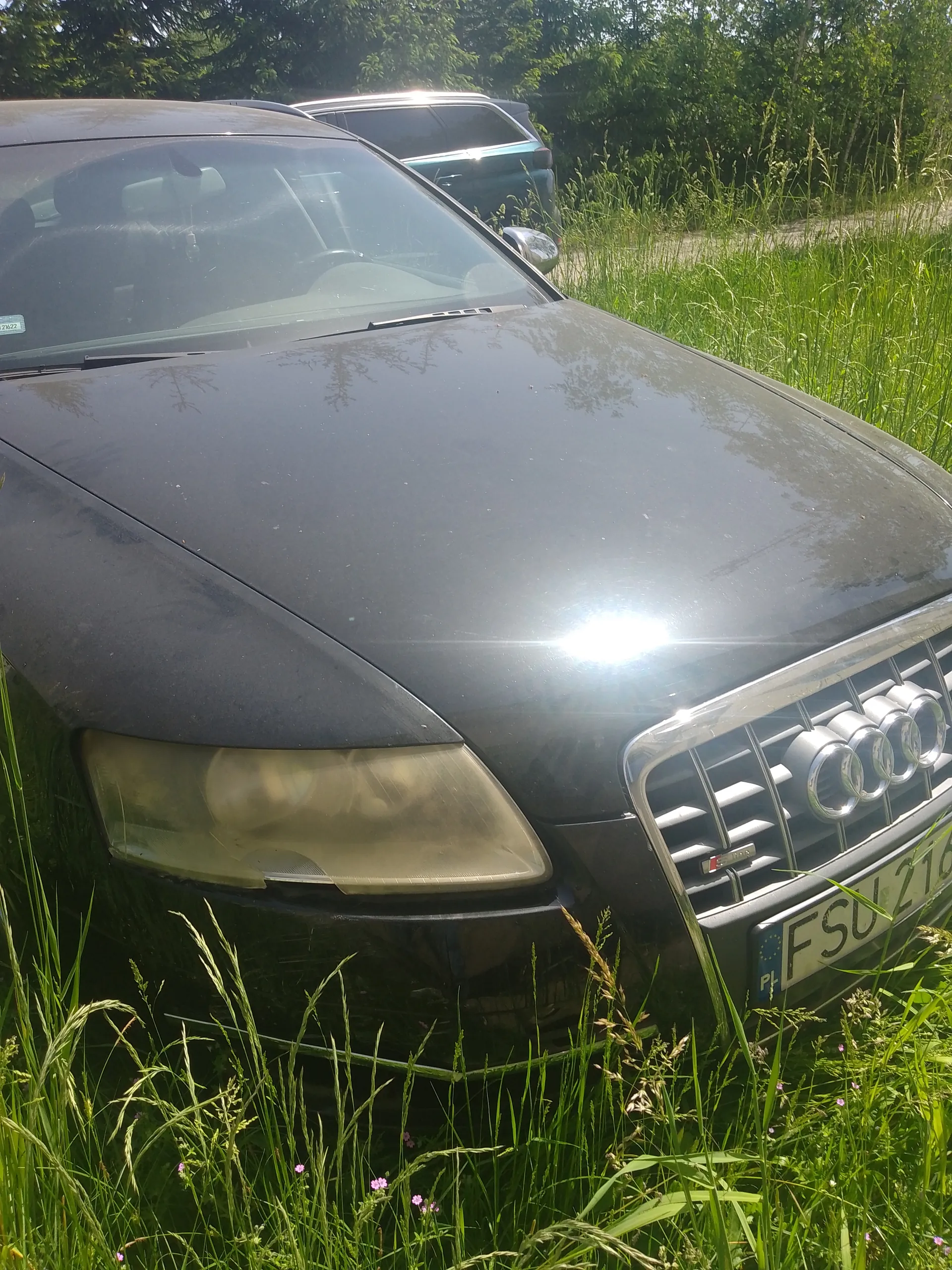 Czarny samochód marki Audi z przodu, z widoczną tablicą rejestracyjną PL FSU 216. Samochód stoi na wysokiej trawie z różowymi kwiatkami. W tle drugi samochód, zielone drzewa i krzewy. Słoneczny dzień, odbicie słońca na masce pojazdu.