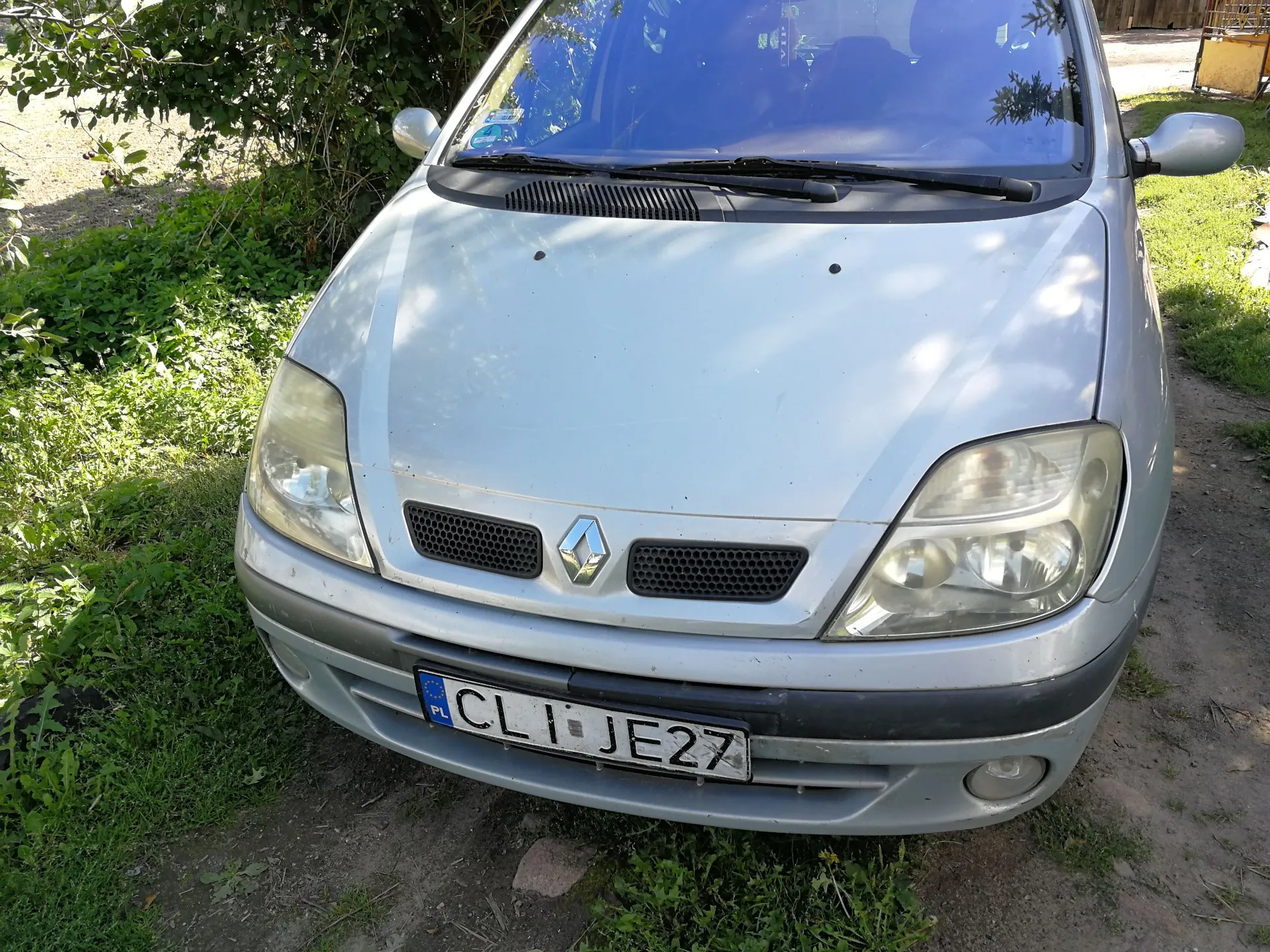Srebrny samochód marki Renault widziany od przodu, zaparkowany na trawiastym podłożu. Pojazd posiada polską tablicę rejestracyjną o numerze CLI JE27. W tle widoczna jest zieleń i krzewy.
