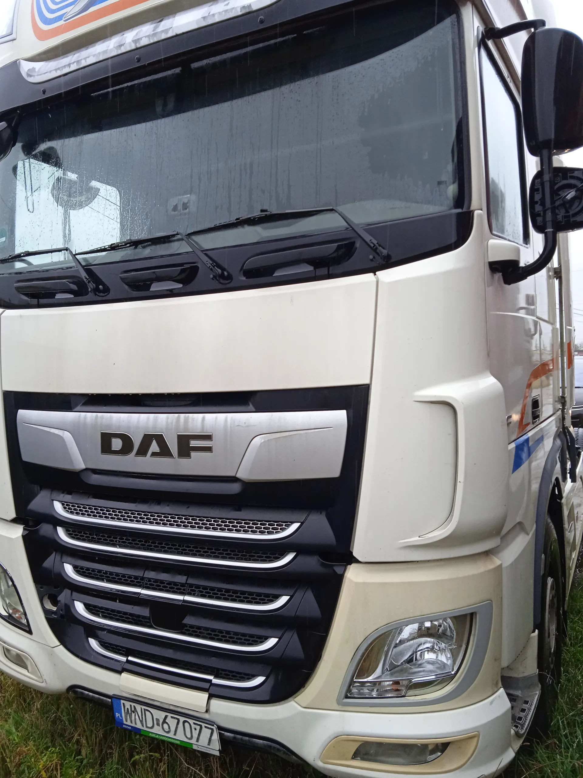Biały ciężarówka DAF z srebrną atrapą chłodnicy, widocznym logo "DAF" i tablicą rejestracyjną "WND-67077". Przednią szybę pokrywają krople deszczu, a pojazd stoi na trawie. Widoczne są reflektory, lusterka boczne oraz czarne elementy nadwozia.